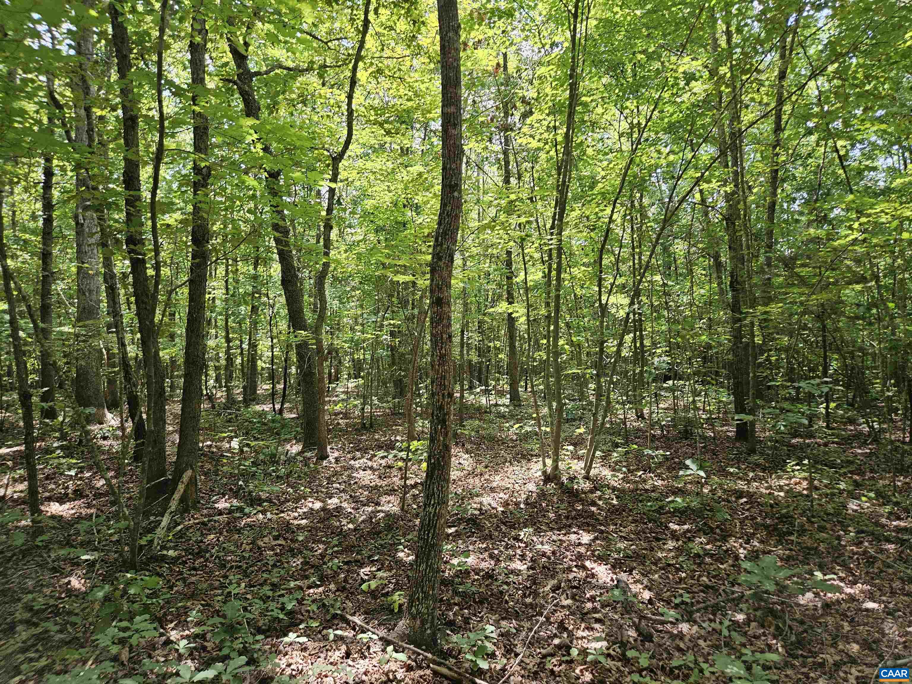 100 Ac W JAMES ANDERSON HWY, GLADSTONE, Virginia 24553, ,Farm,100 Ac W JAMES ANDERSON HWY,675255 MLS # 675255