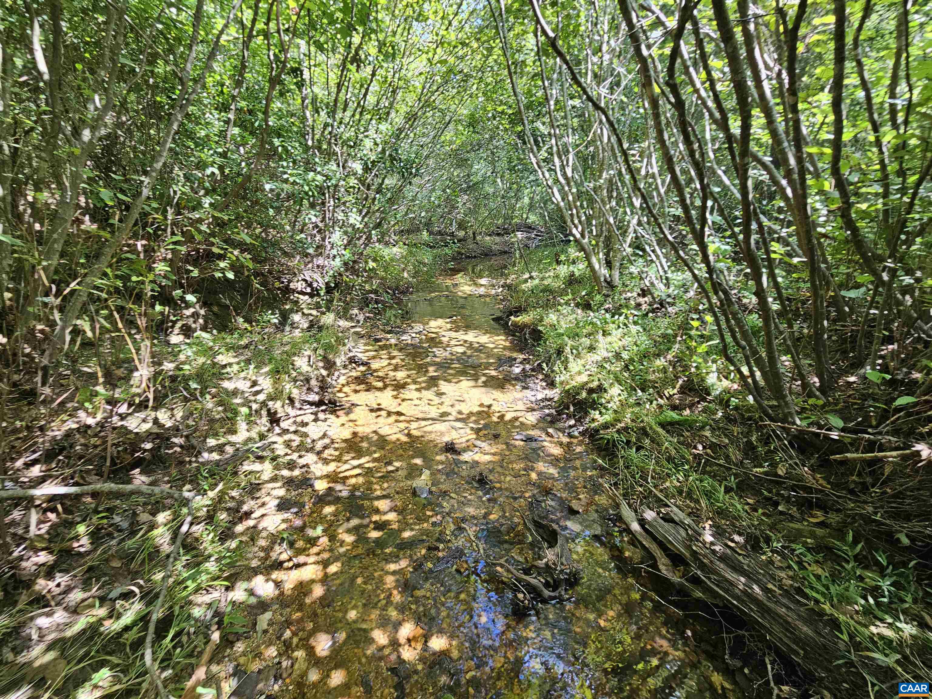 100 Ac W JAMES ANDERSON HWY, GLADSTONE, Virginia 24553, ,Farm,100 Ac W JAMES ANDERSON HWY,675255 MLS # 675255