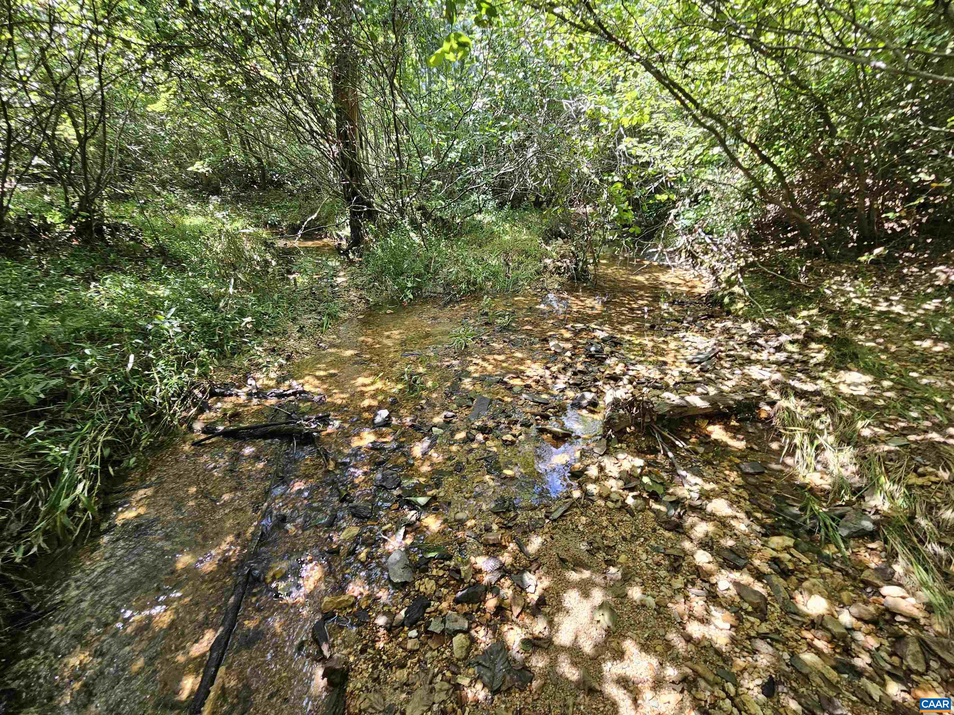 100 Ac W JAMES ANDERSON HWY, GLADSTONE, Virginia 24553, ,Farm,100 Ac W JAMES ANDERSON HWY,675255 MLS # 675255