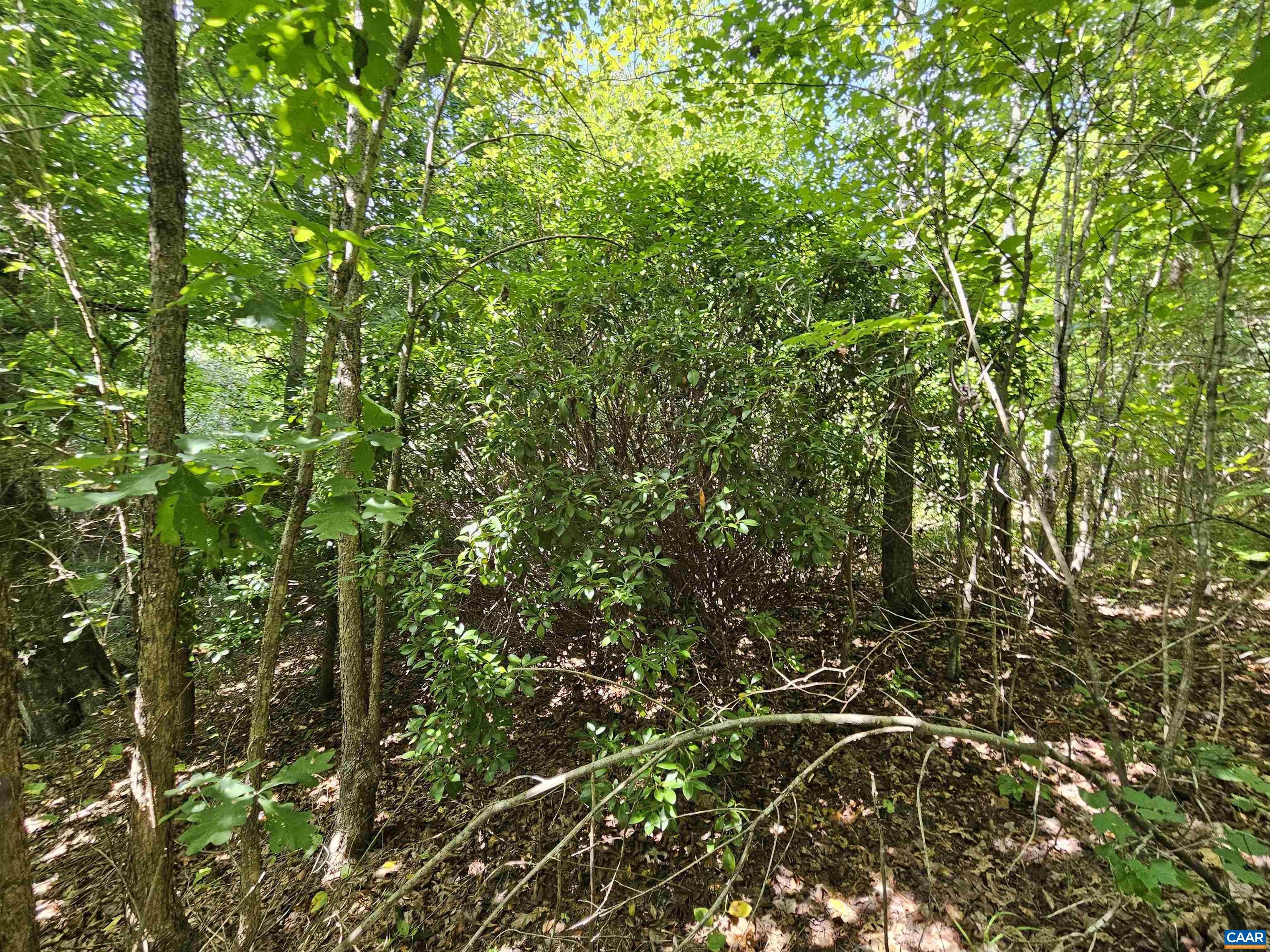 100 Ac W JAMES ANDERSON HWY, GLADSTONE, Virginia 24553, ,Farm,100 Ac W JAMES ANDERSON HWY,675255 MLS # 675255