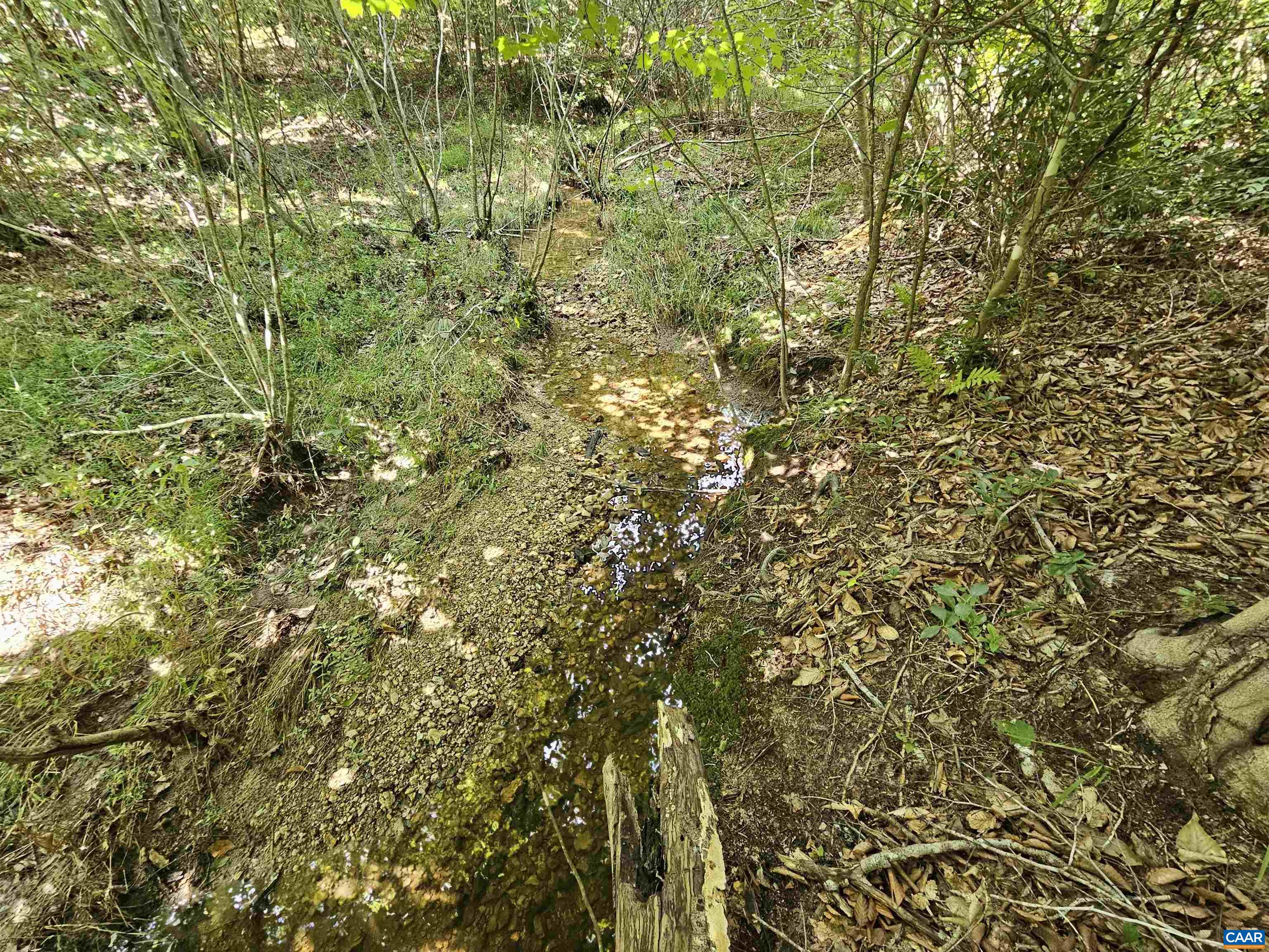 100 Ac W JAMES ANDERSON HWY, GLADSTONE, Virginia 24553, ,Farm,100 Ac W JAMES ANDERSON HWY,675255 MLS # 675255