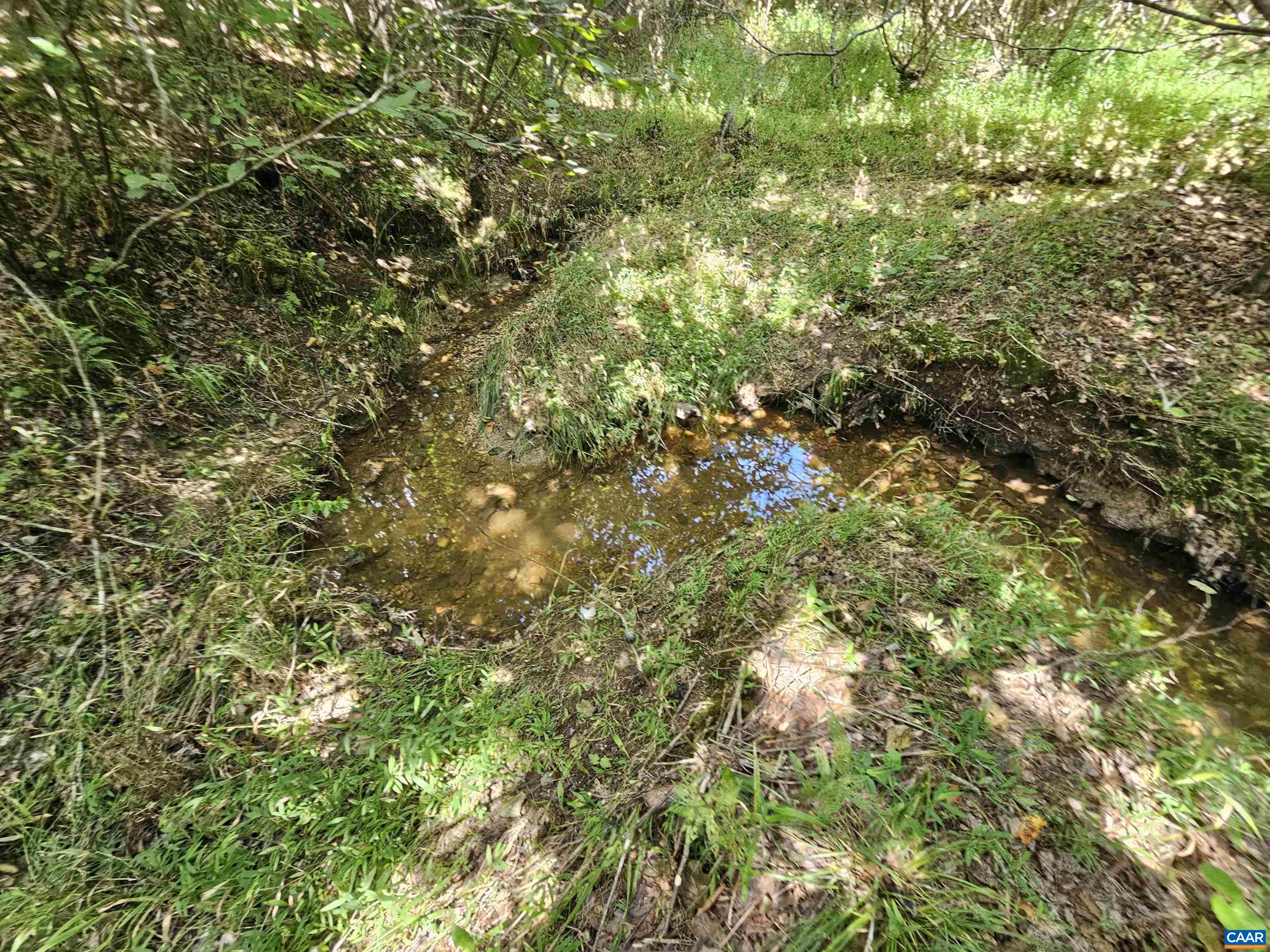 100 Ac W JAMES ANDERSON HWY, GLADSTONE, Virginia 24553, ,Farm,100 Ac W JAMES ANDERSON HWY,675255 MLS # 675255