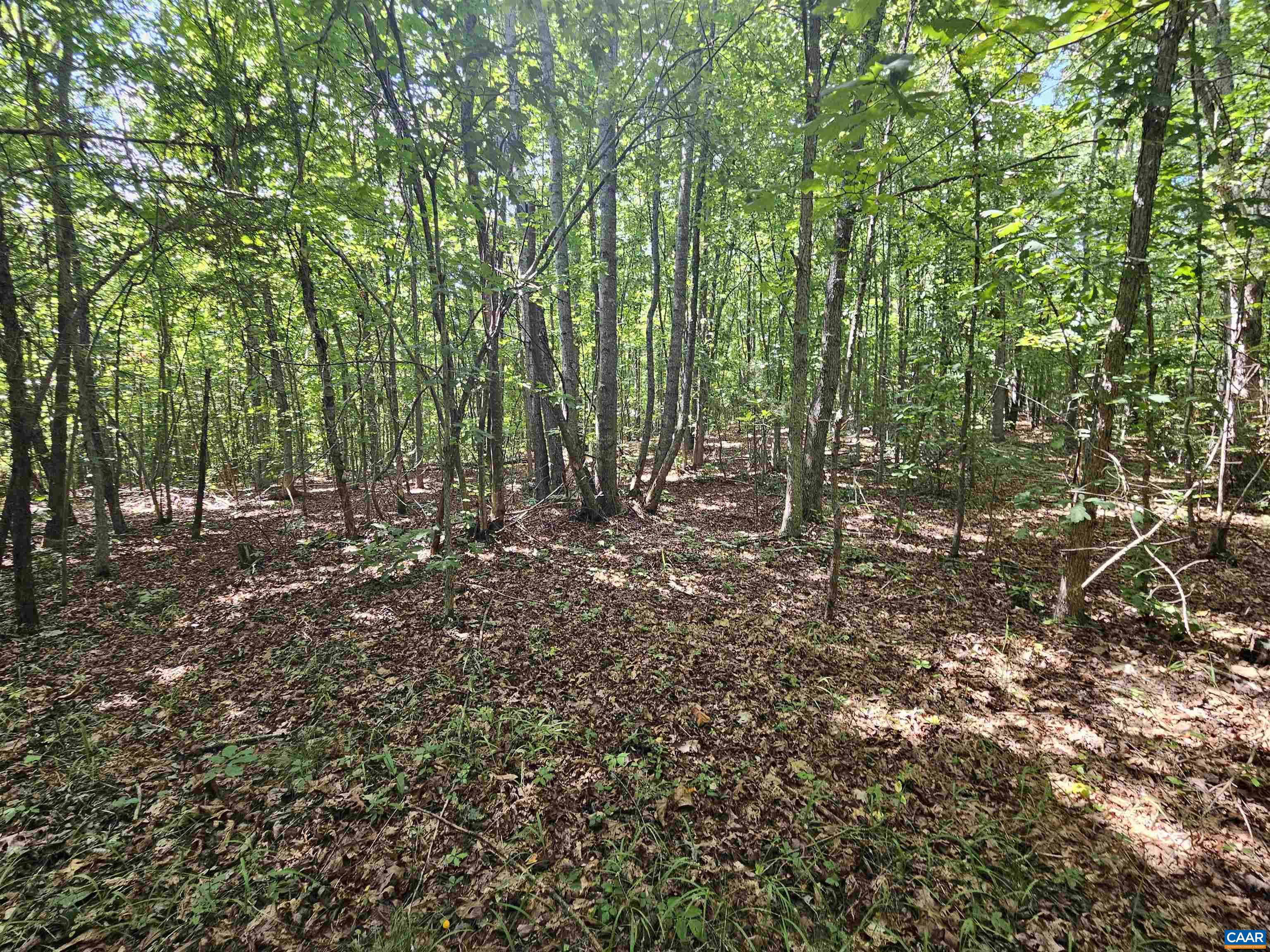 100 Ac W JAMES ANDERSON HWY, GLADSTONE, Virginia 24553, ,Farm,100 Ac W JAMES ANDERSON HWY,675255 MLS # 675255