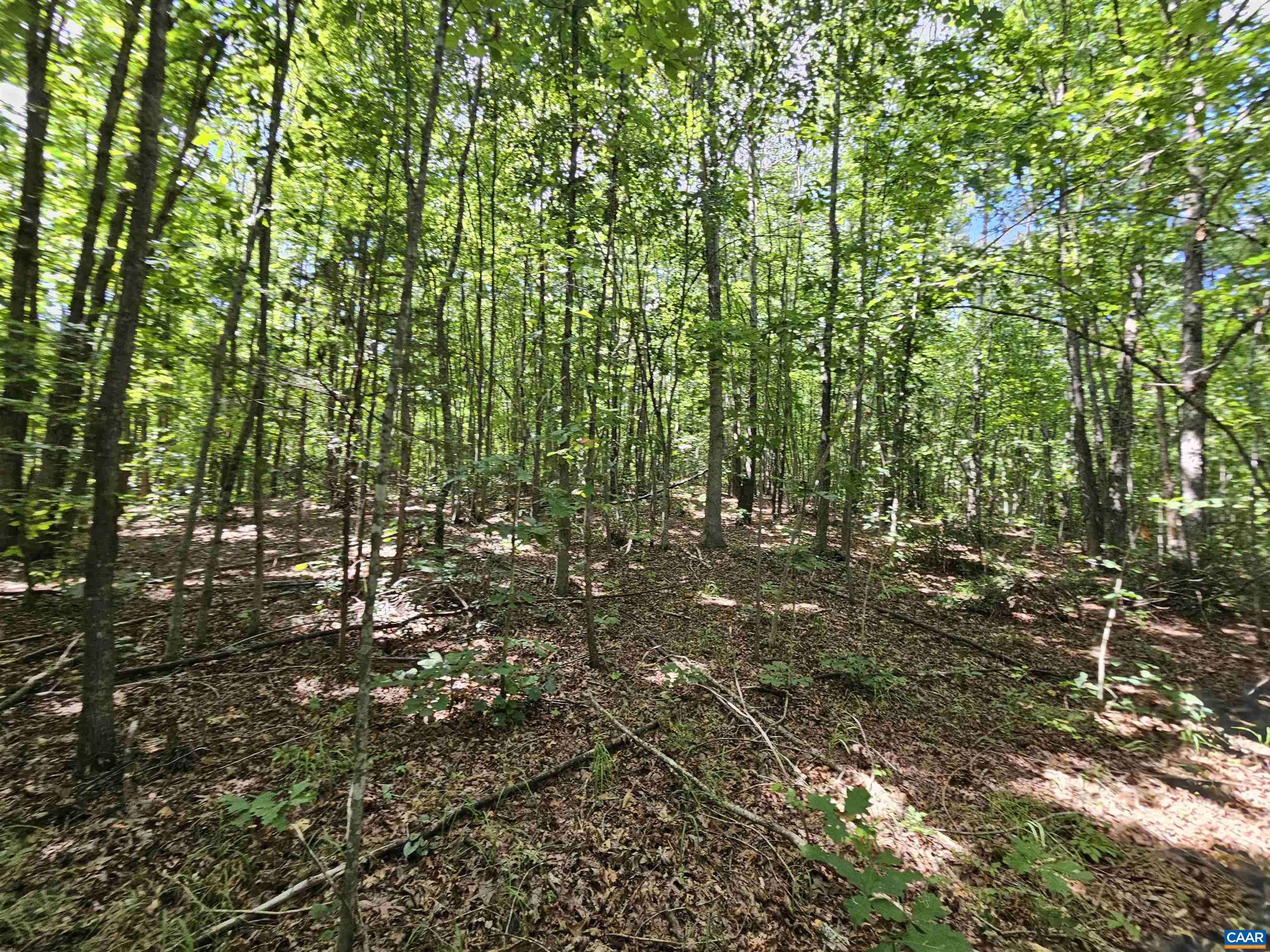 100 Ac W JAMES ANDERSON HWY, GLADSTONE, Virginia 24553, ,Farm,100 Ac W JAMES ANDERSON HWY,675255 MLS # 675255