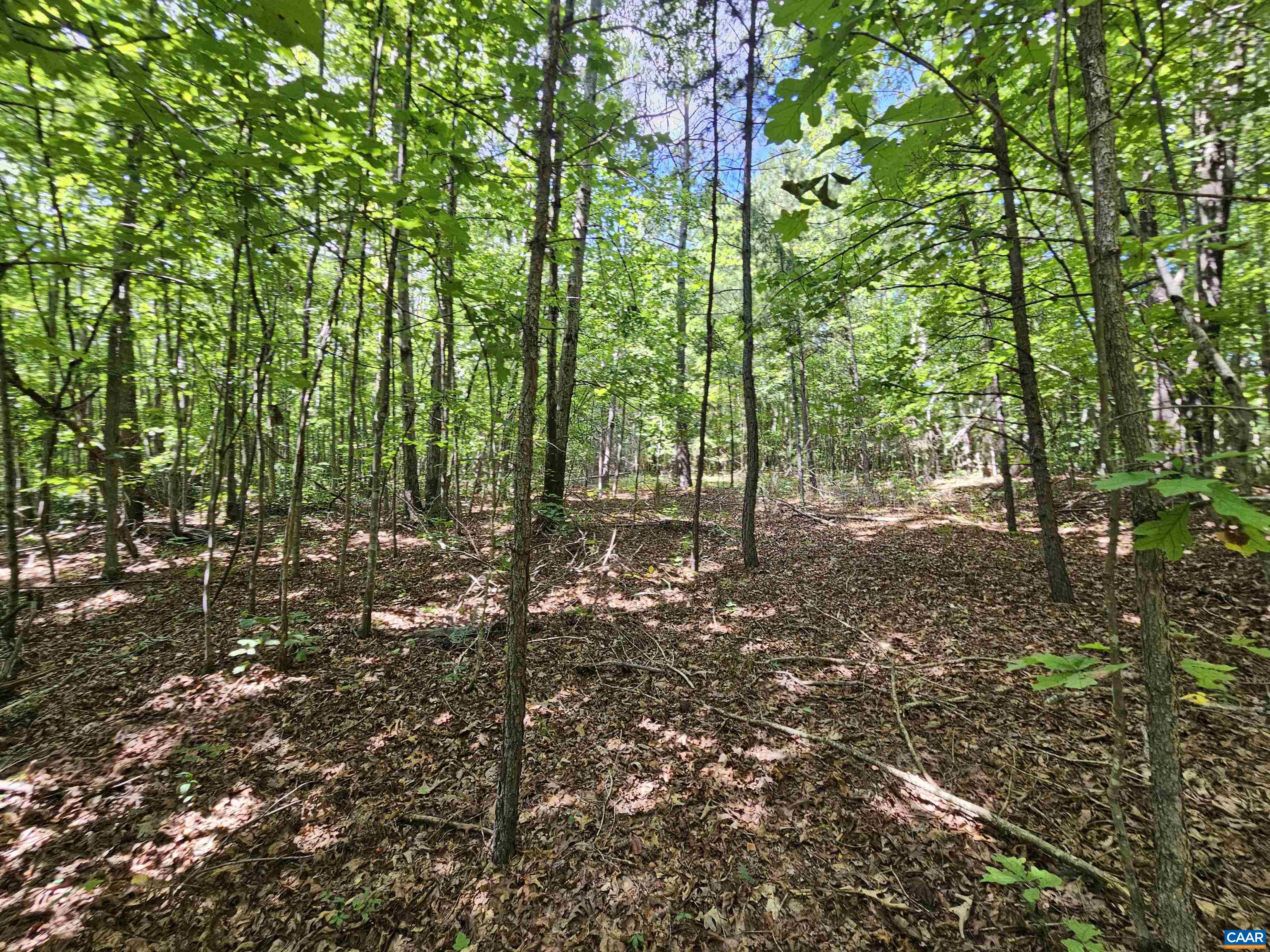 100 Ac W JAMES ANDERSON HWY, GLADSTONE, Virginia 24553, ,Farm,100 Ac W JAMES ANDERSON HWY,675255 MLS # 675255