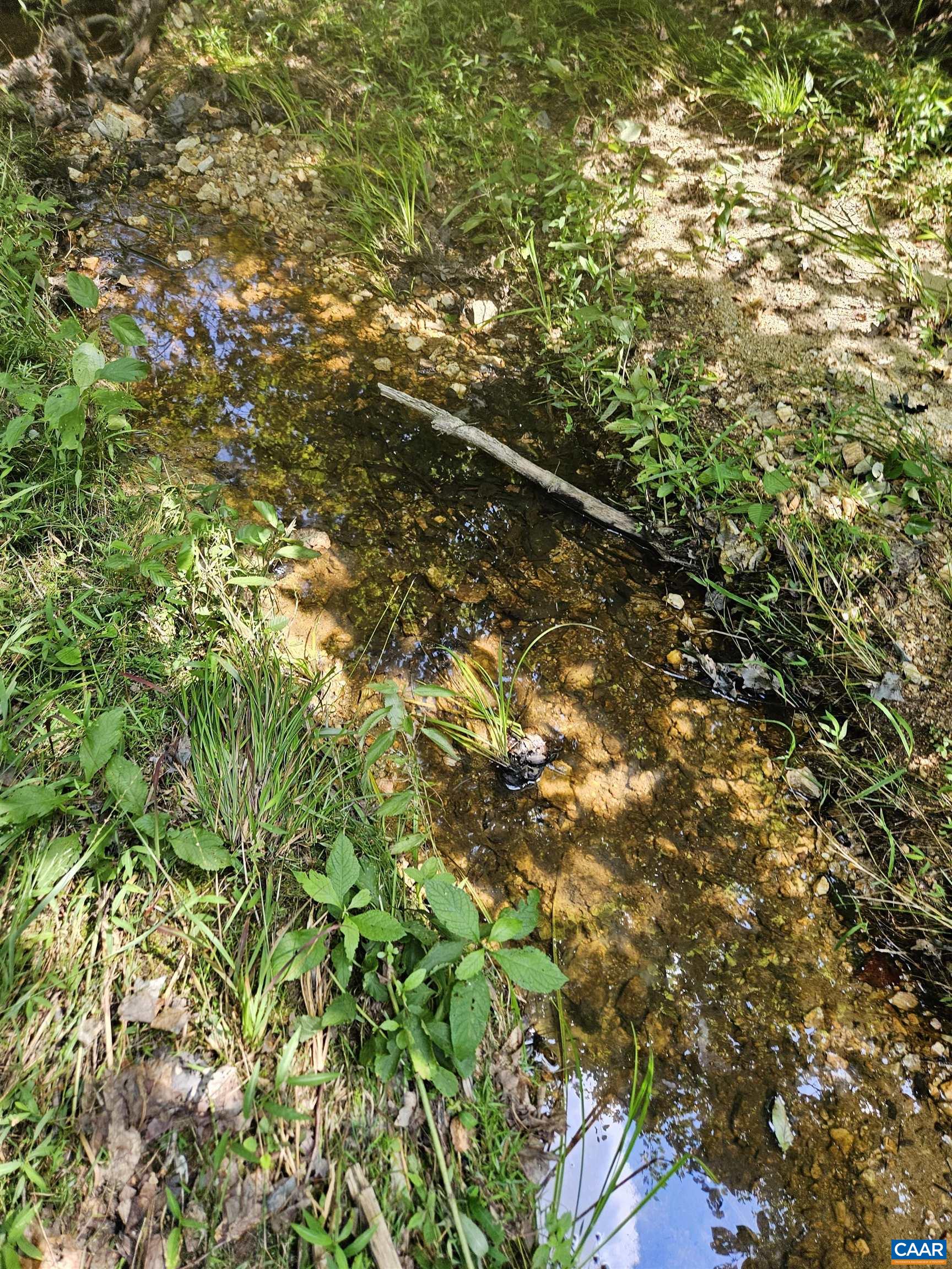 100 Ac W JAMES ANDERSON HWY, GLADSTONE, Virginia 24553, ,Farm,100 Ac W JAMES ANDERSON HWY,675255 MLS # 675255