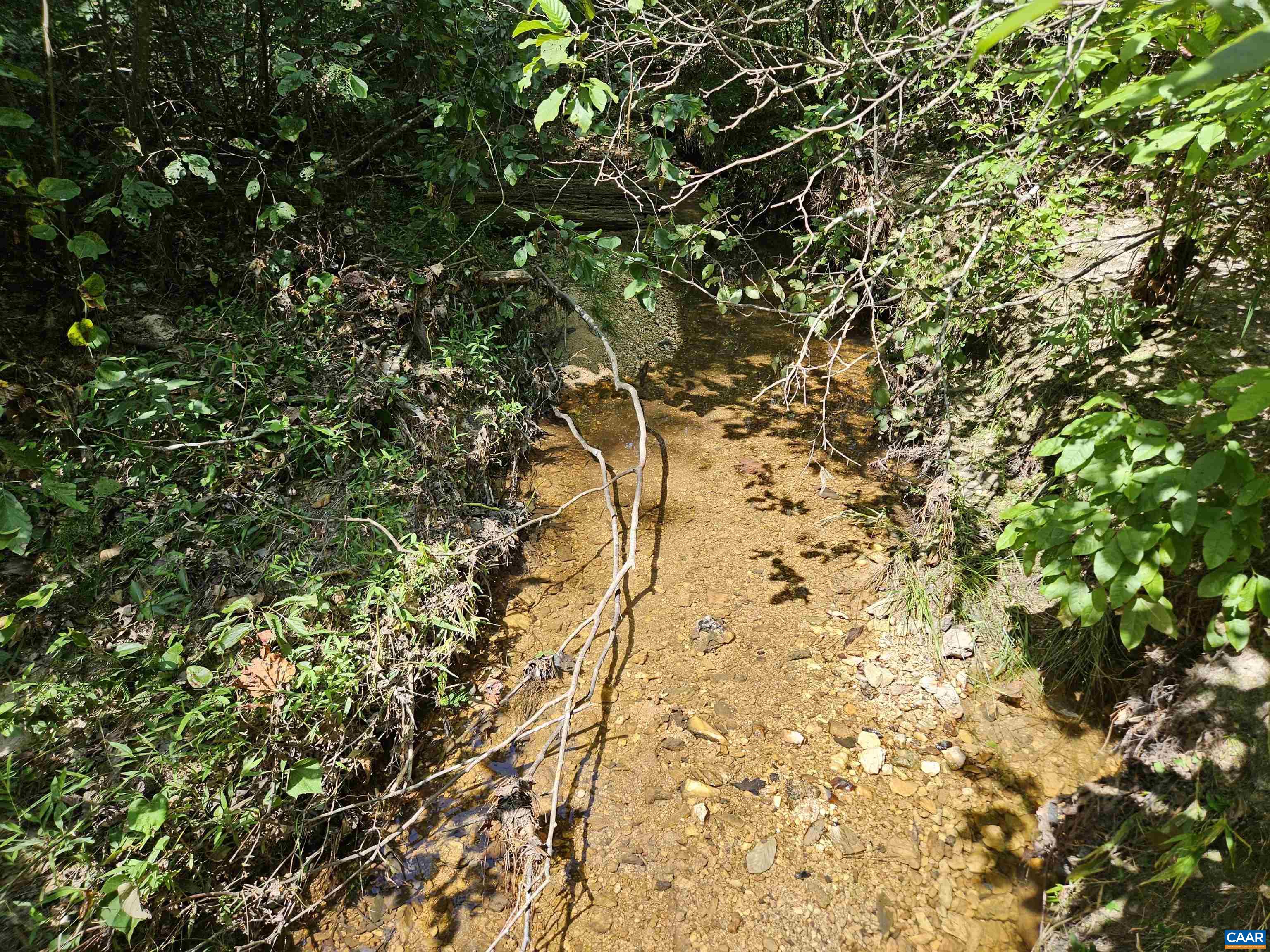 100 Ac W JAMES ANDERSON HWY, GLADSTONE, Virginia 24553, ,Farm,100 Ac W JAMES ANDERSON HWY,675255 MLS # 675255