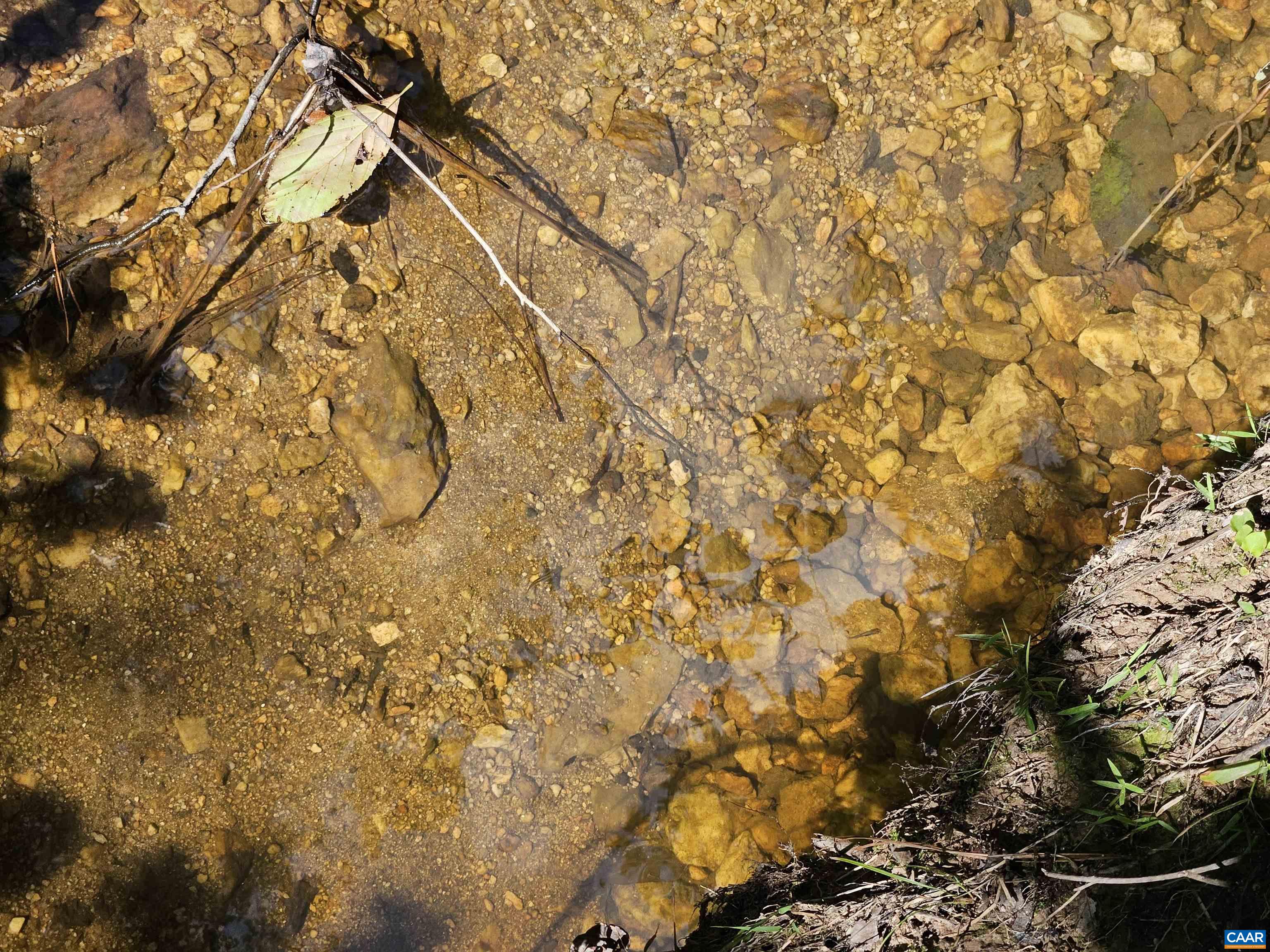 100 Ac W JAMES ANDERSON HWY, GLADSTONE, Virginia 24553, ,Farm,100 Ac W JAMES ANDERSON HWY,675255 MLS # 675255