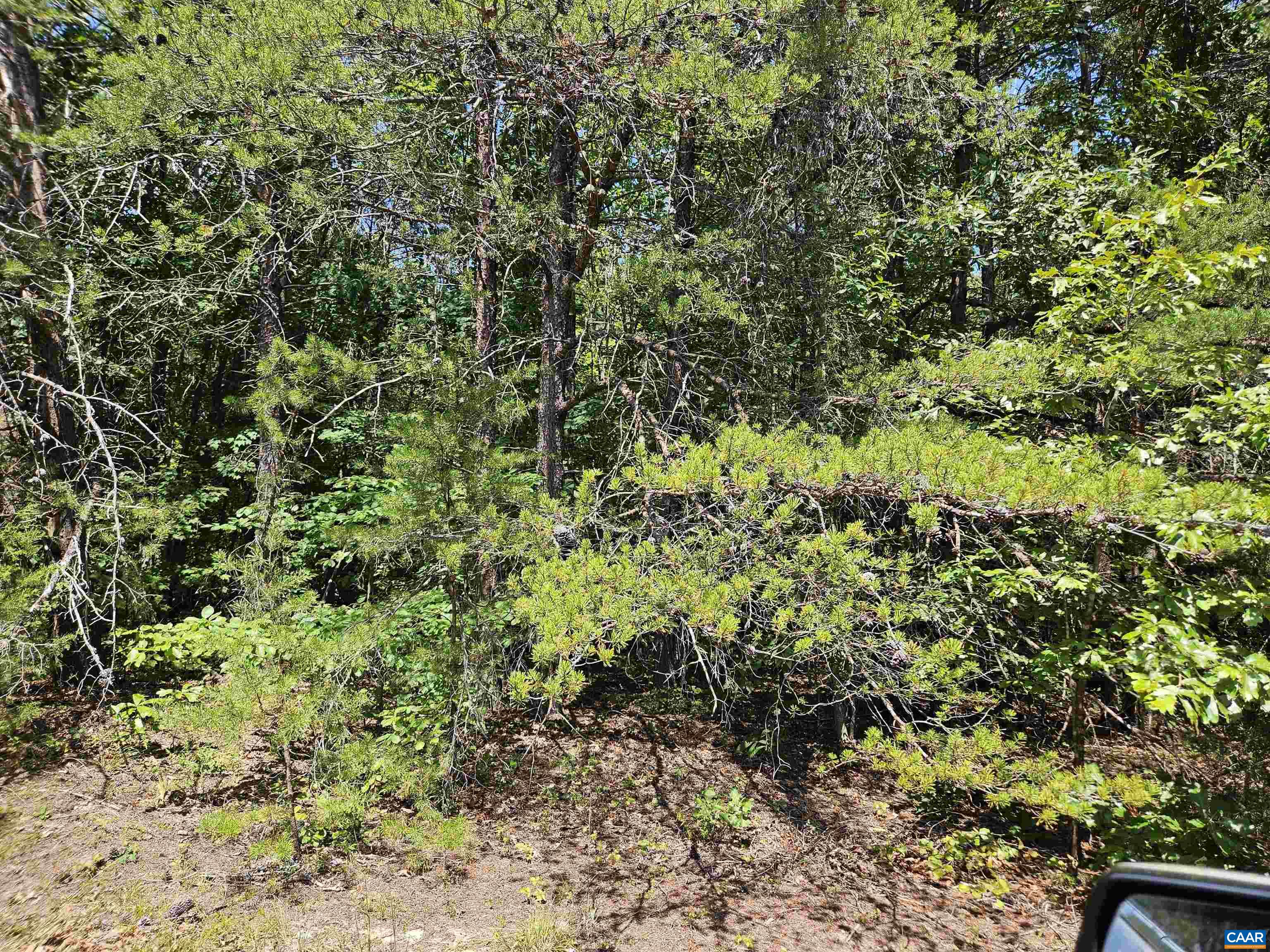 100 Ac W JAMES ANDERSON HWY, GLADSTONE, Virginia 24553, ,Farm,100 Ac W JAMES ANDERSON HWY,675255 MLS # 675255