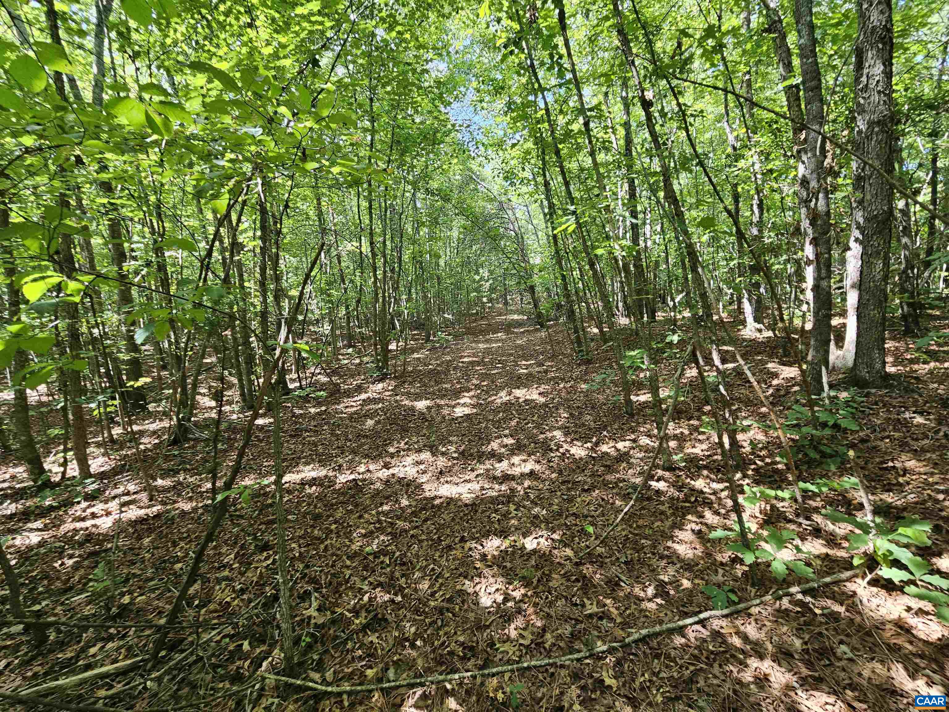 100 Ac W JAMES ANDERSON HWY, GLADSTONE, Virginia 24553, ,Farm,100 Ac W JAMES ANDERSON HWY,675255 MLS # 675255