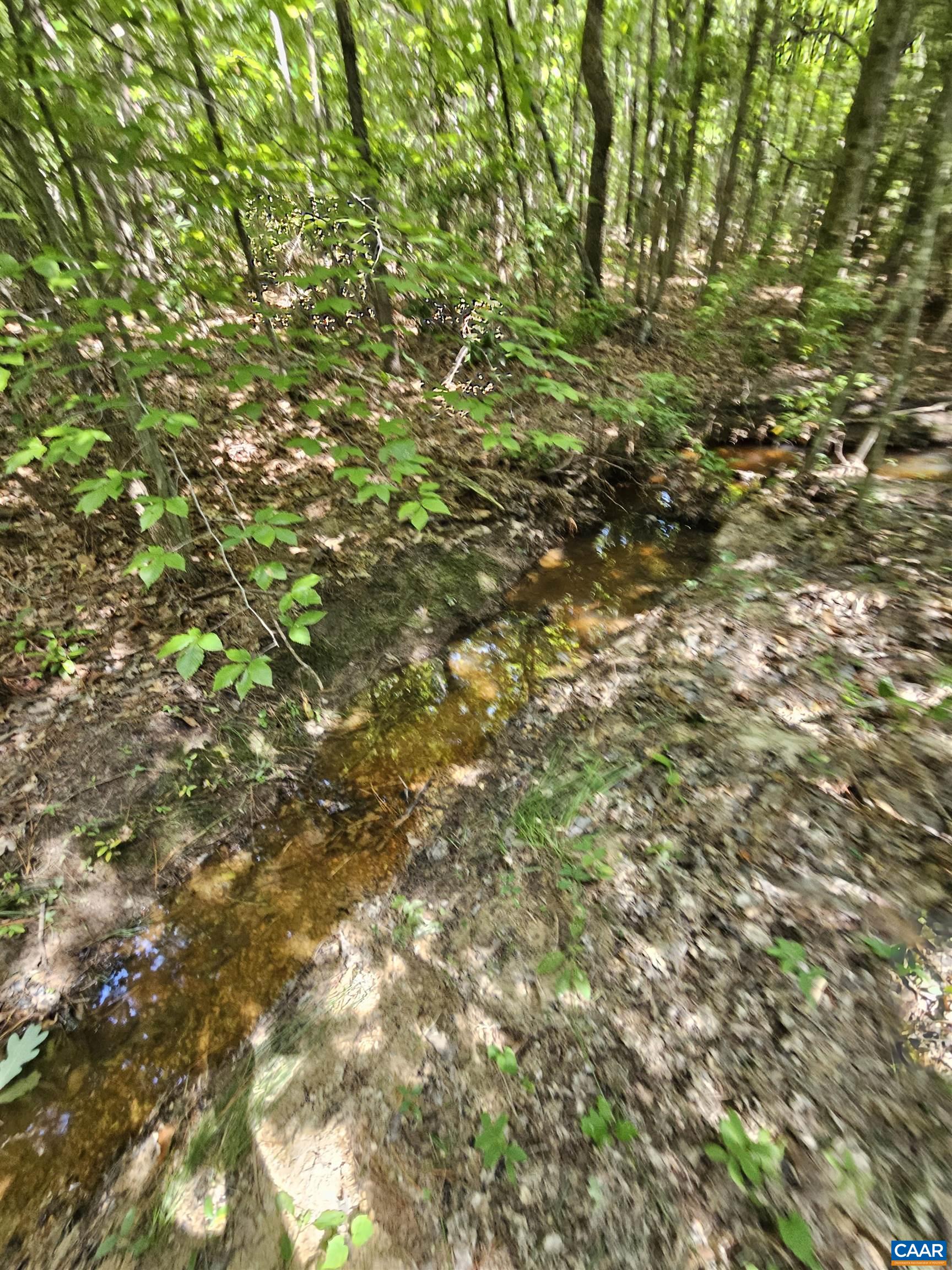 100 Ac W JAMES ANDERSON HWY, GLADSTONE, Virginia 24553, ,Farm,100 Ac W JAMES ANDERSON HWY,675255 MLS # 675255