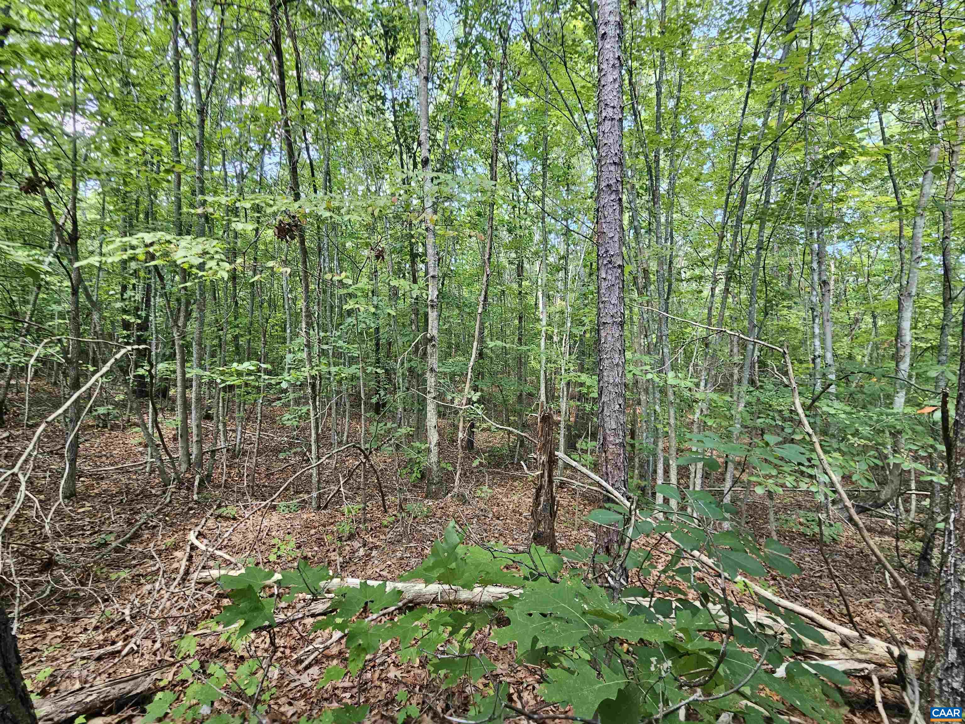 100 Ac W JAMES ANDERSON HWY, GLADSTONE, Virginia 24553, ,Farm,100 Ac W JAMES ANDERSON HWY,675255 MLS # 675255