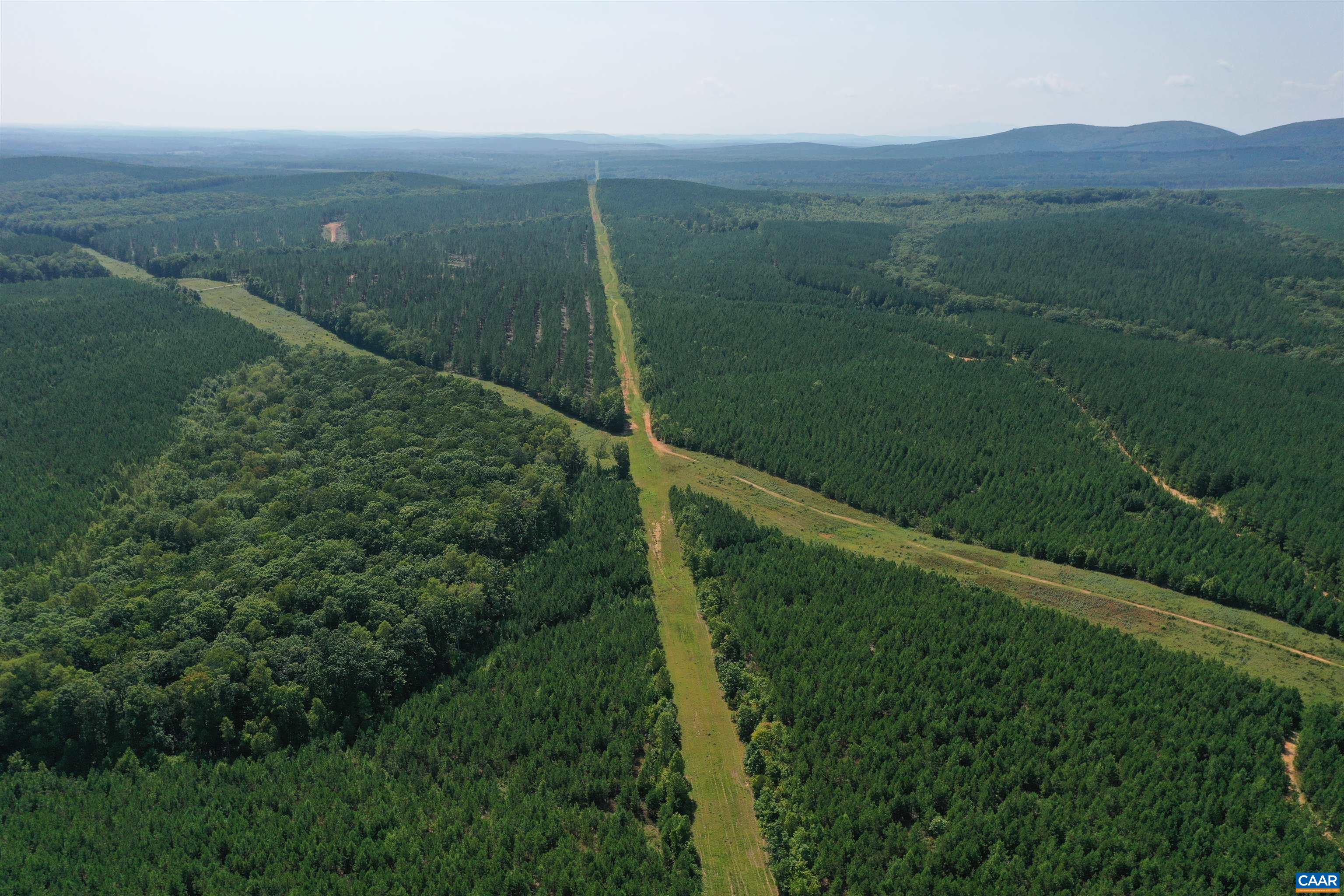 100 Ac W JAMES ANDERSON HWY, GLADSTONE, Virginia 24553, ,Farm,100 Ac W JAMES ANDERSON HWY,675255 MLS # 675255