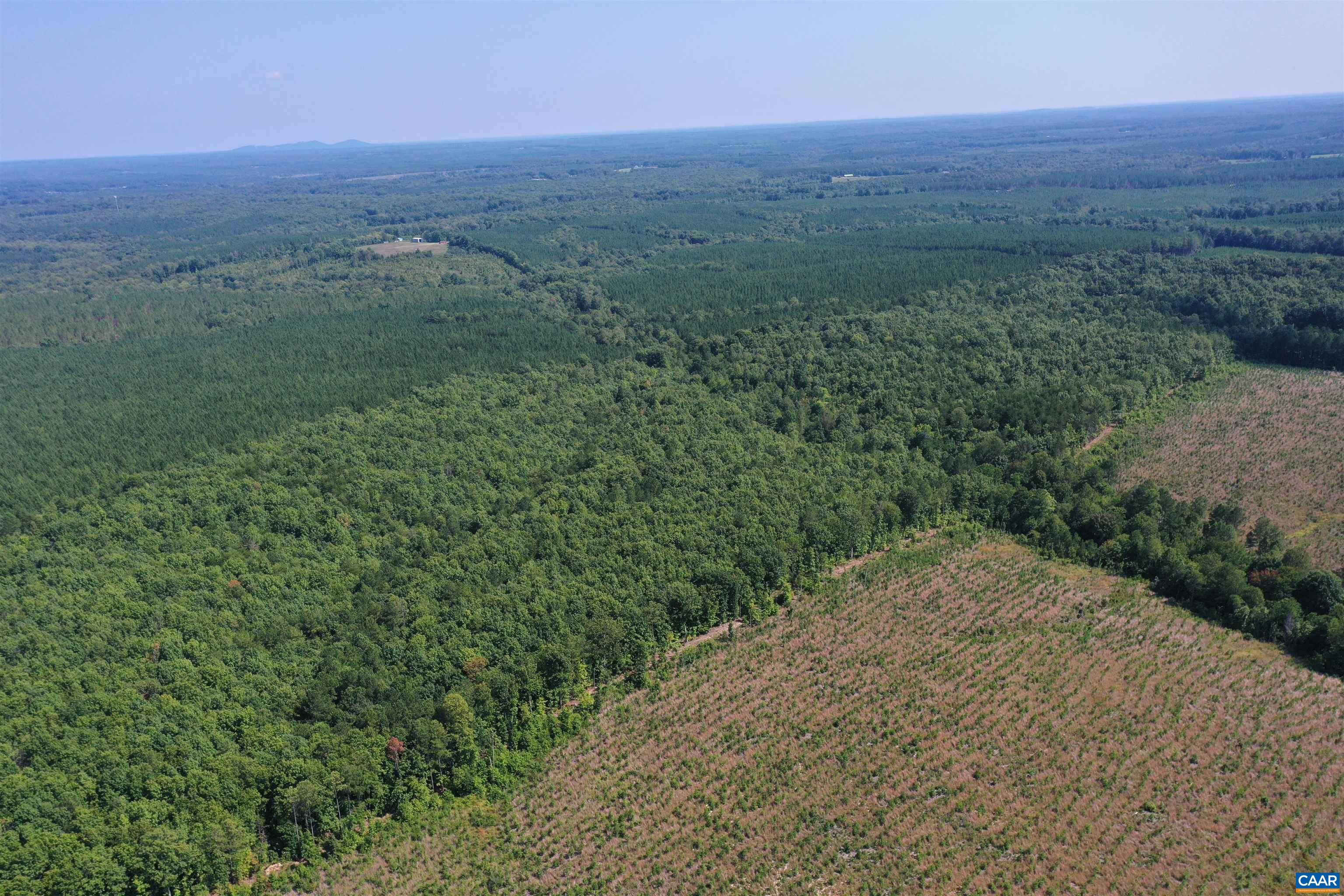 100 Ac W JAMES ANDERSON HWY, GLADSTONE, Virginia 24553, ,Farm,100 Ac W JAMES ANDERSON HWY,675255 MLS # 675255