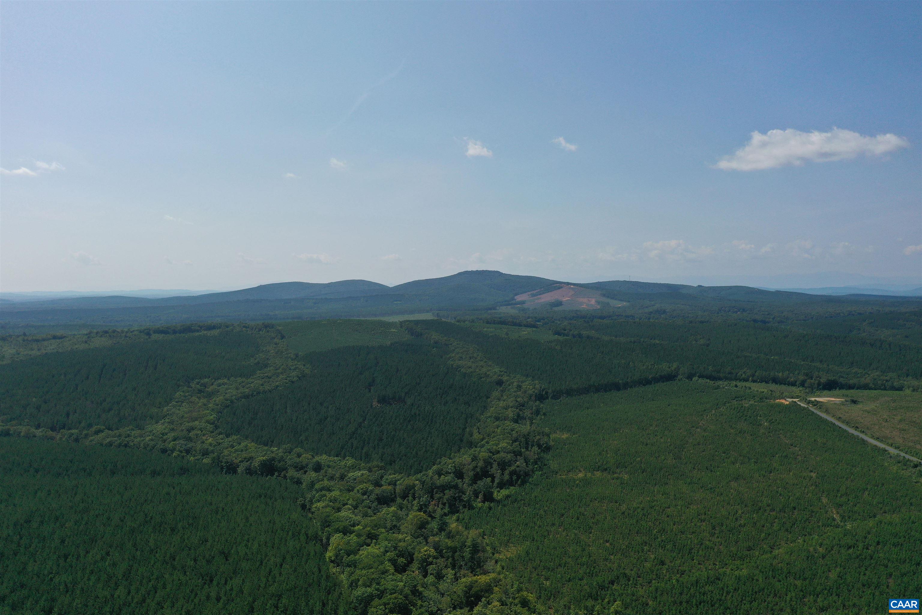 100 Ac W JAMES ANDERSON HWY, GLADSTONE, Virginia 24553, ,Farm,100 Ac W JAMES ANDERSON HWY,675255 MLS # 675255