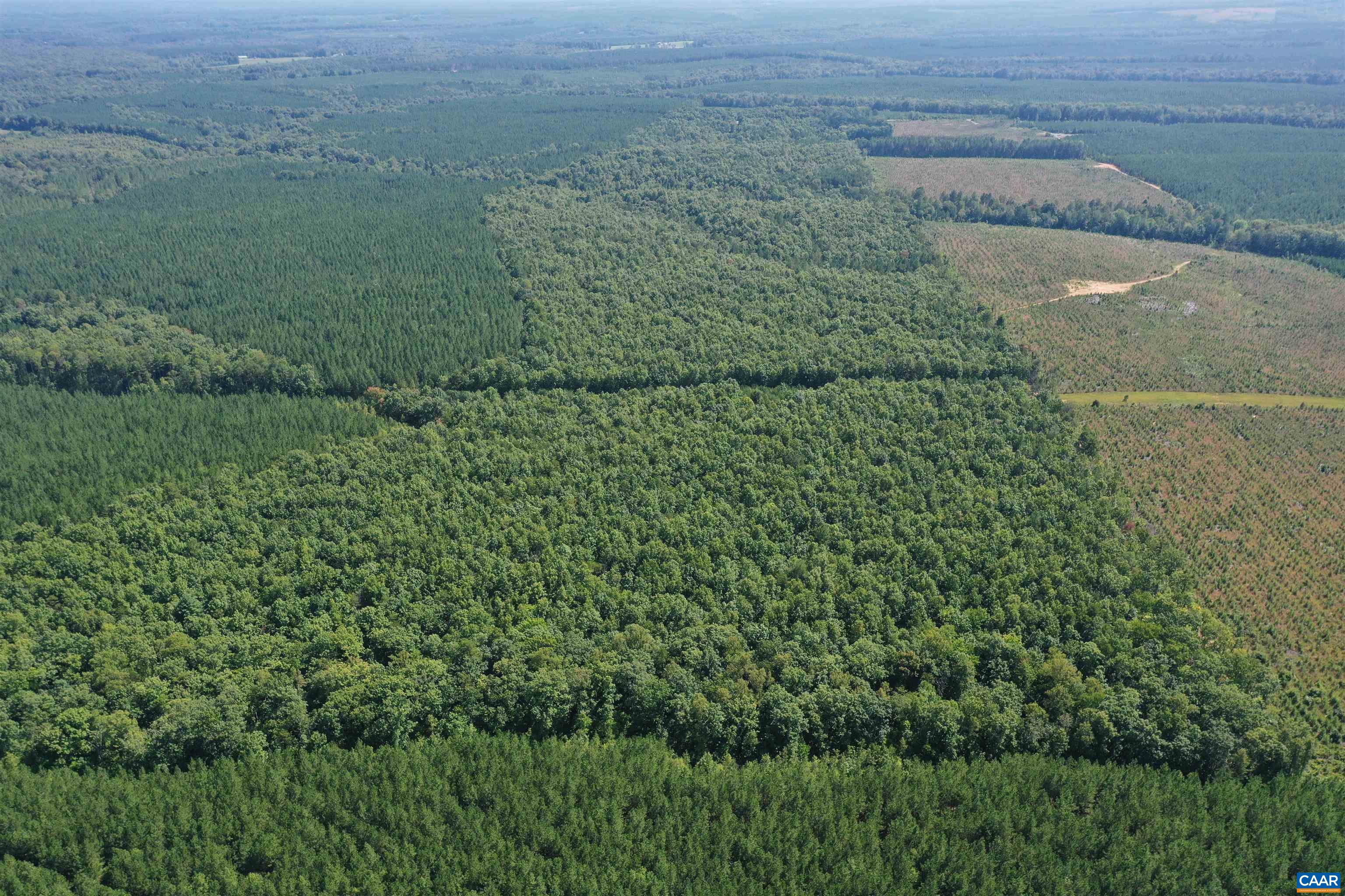 100 Ac W JAMES ANDERSON HWY, GLADSTONE, Virginia 24553, ,Farm,100 Ac W JAMES ANDERSON HWY,675255 MLS # 675255