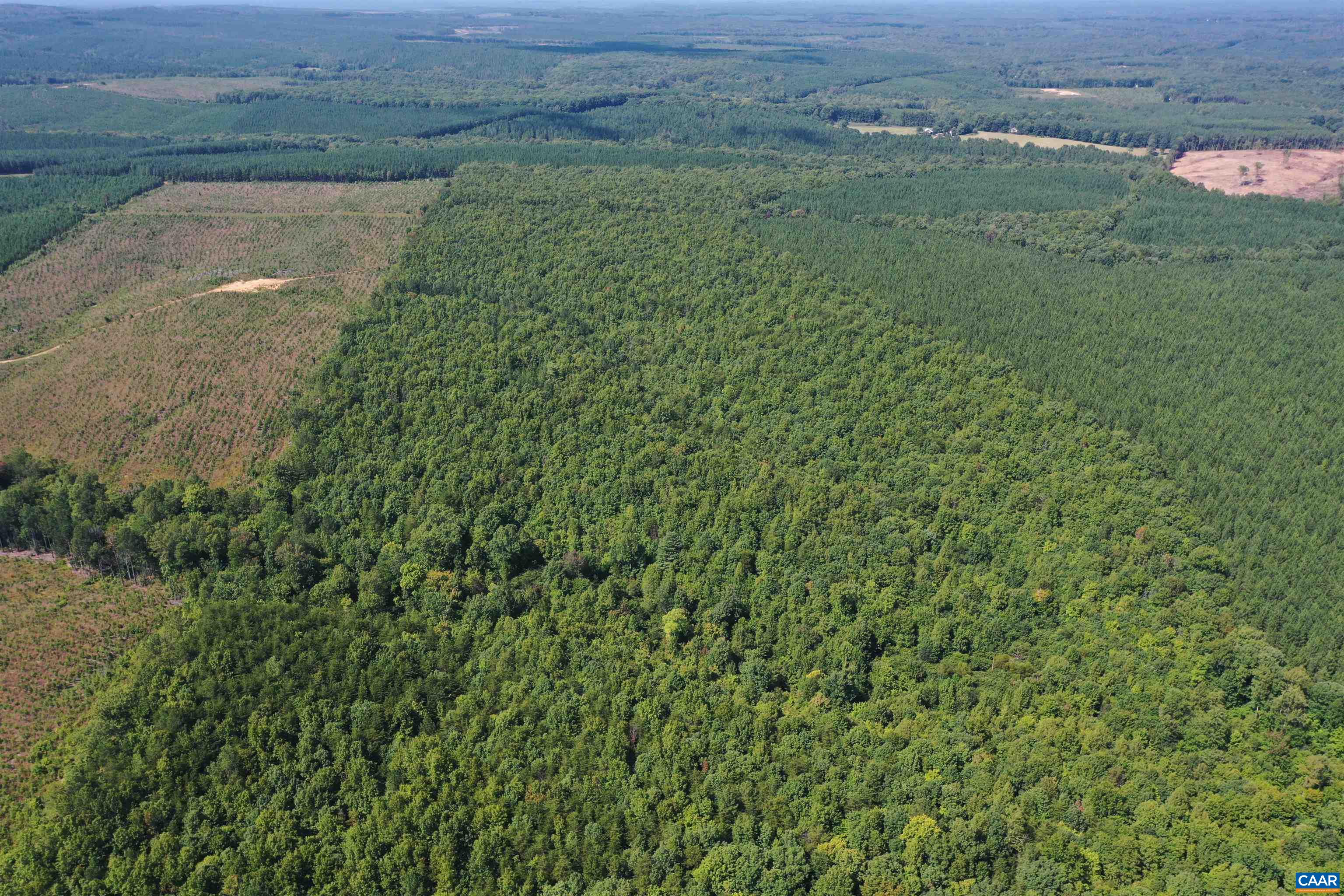 100 Ac W JAMES ANDERSON HWY, GLADSTONE, Virginia 24553, ,Farm,100 Ac W JAMES ANDERSON HWY,675255 MLS # 675255