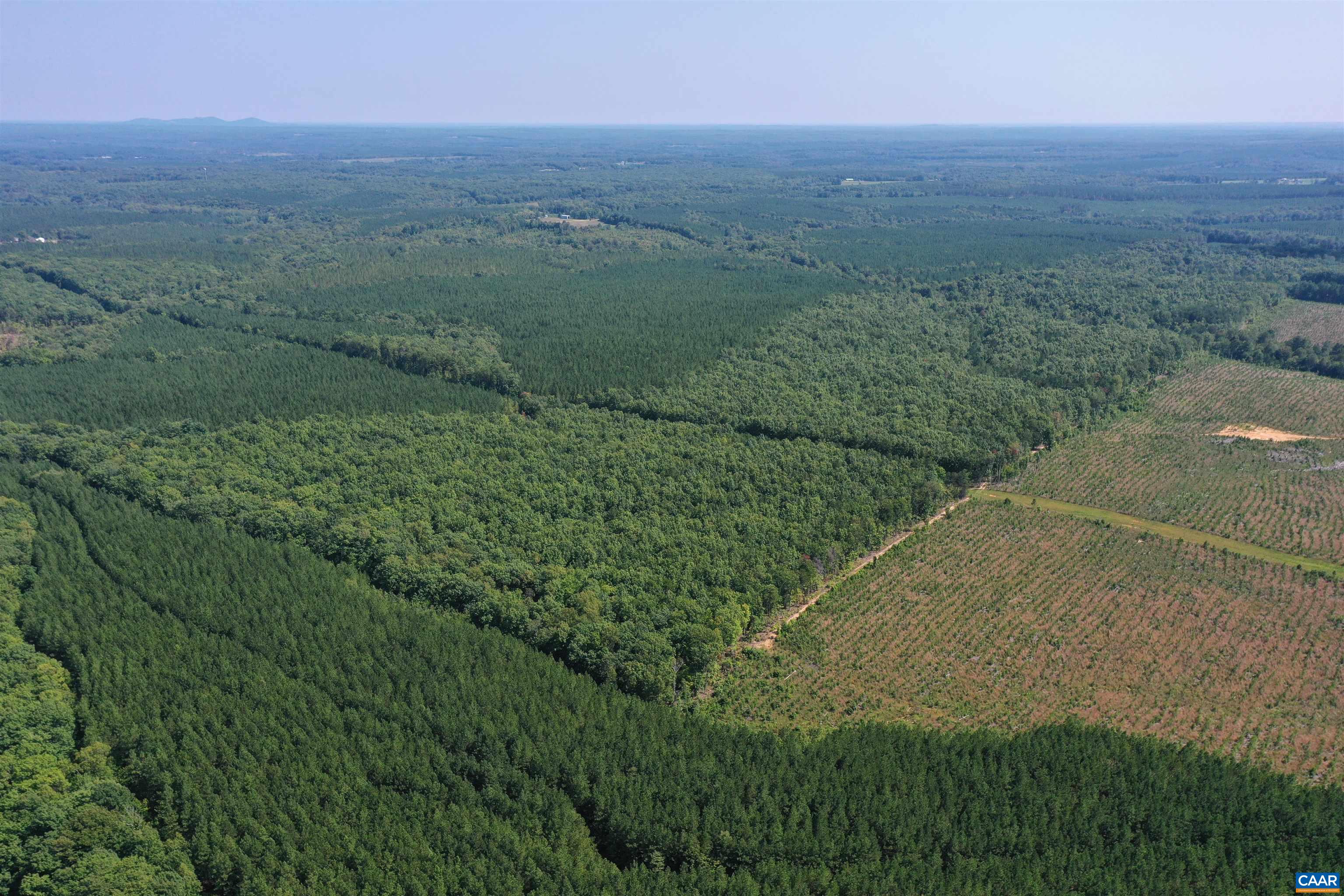 100 Ac W JAMES ANDERSON HWY, GLADSTONE, Virginia 24553, ,Farm,100 Ac W JAMES ANDERSON HWY,675255 MLS # 675255