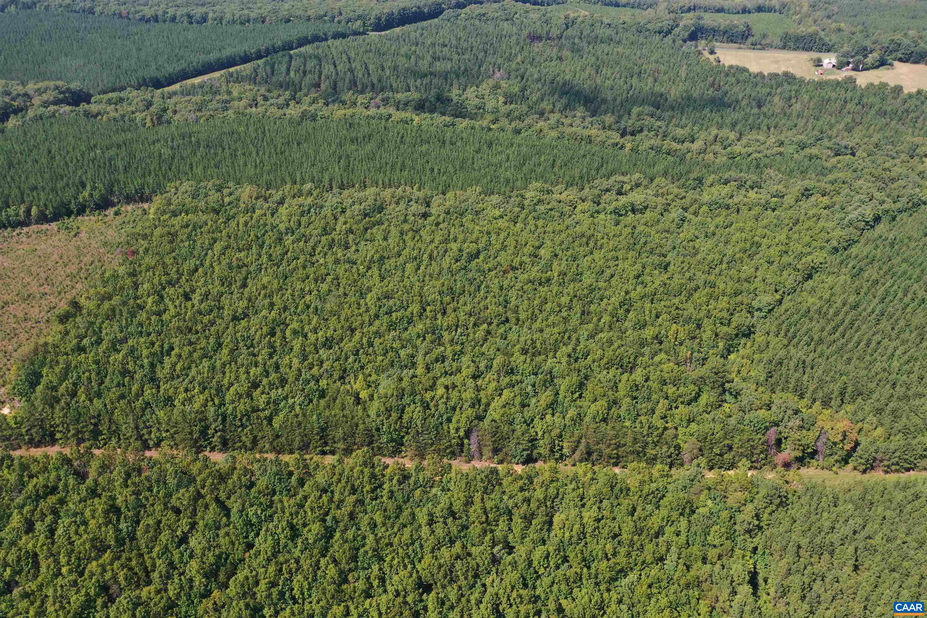 100 Ac W JAMES ANDERSON HWY, GLADSTONE, Virginia 24553, ,Farm,100 Ac W JAMES ANDERSON HWY,675255 MLS # 675255