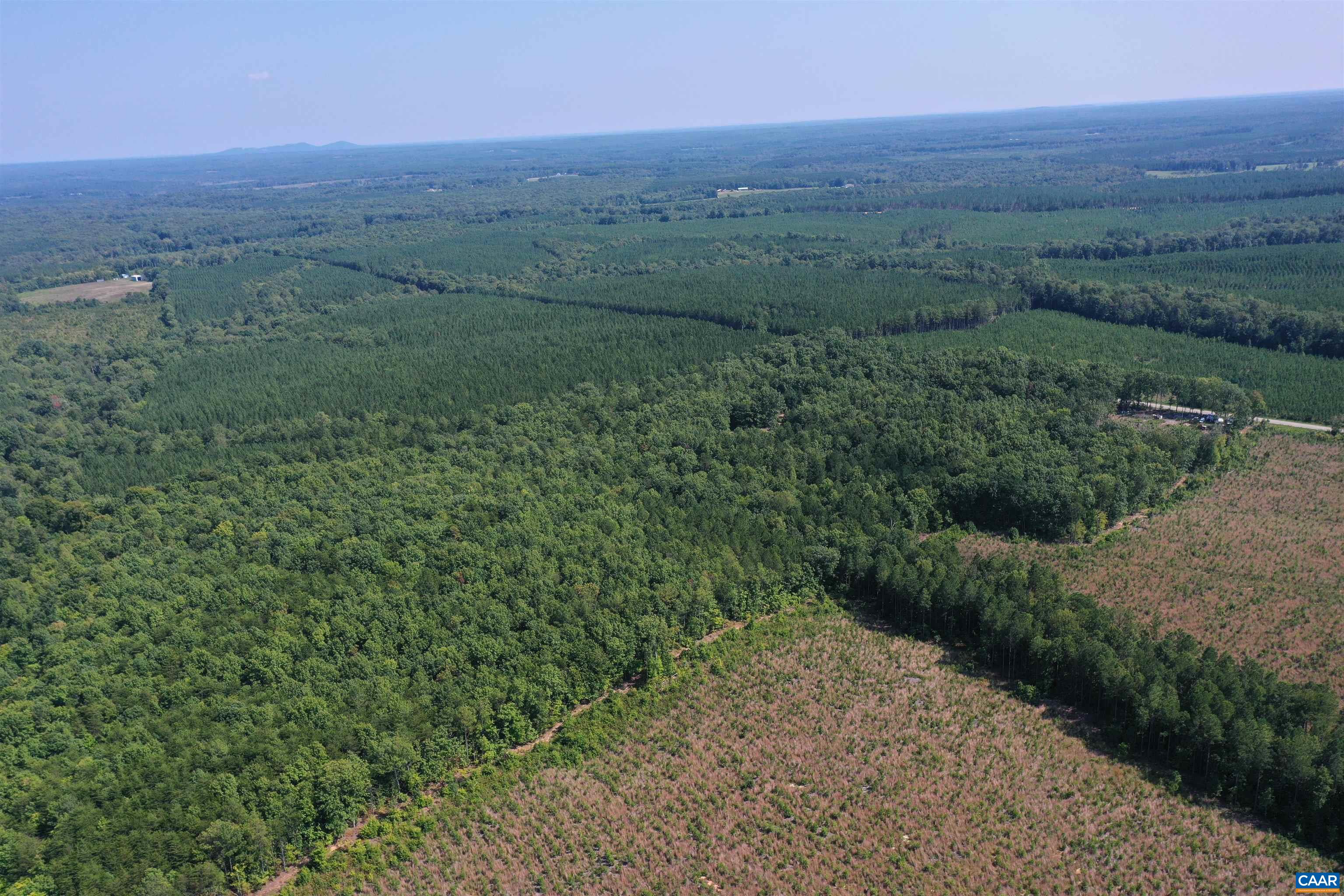 100 Ac W JAMES ANDERSON HWY, GLADSTONE, Virginia 24553, ,Farm,100 Ac W JAMES ANDERSON HWY,675255 MLS # 675255