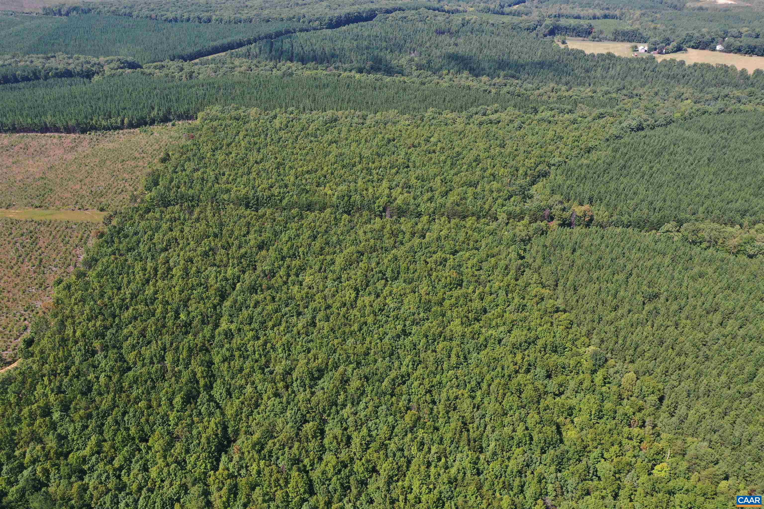 100 Ac W JAMES ANDERSON HWY, GLADSTONE, Virginia 24553, ,Farm,100 Ac W JAMES ANDERSON HWY,675255 MLS # 675255