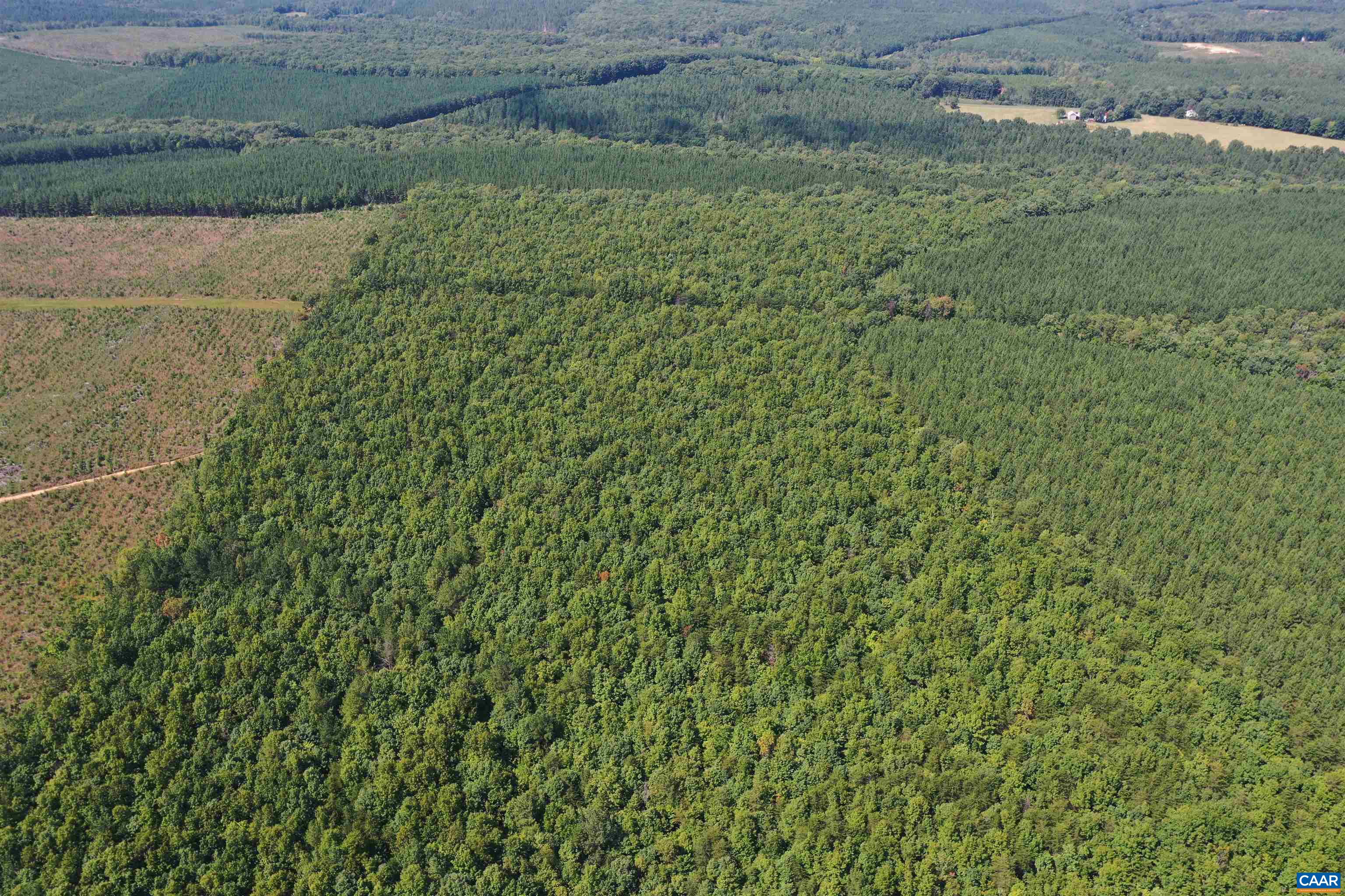 100 Ac W JAMES ANDERSON HWY, GLADSTONE, Virginia 24553, ,Farm,100 Ac W JAMES ANDERSON HWY,675255 MLS # 675255