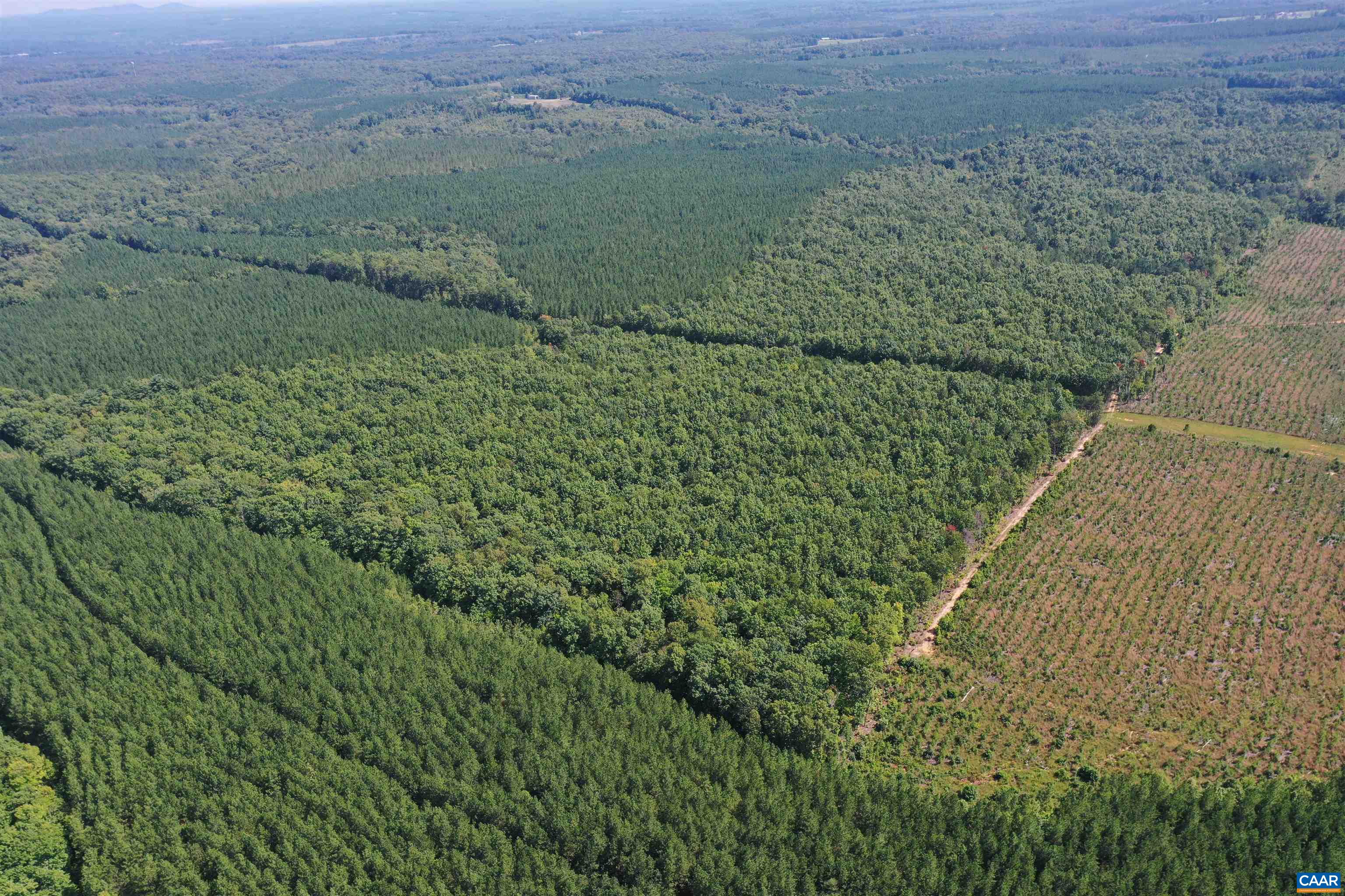 100 Ac W JAMES ANDERSON HWY, GLADSTONE, Virginia 24553, ,Farm,100 Ac W JAMES ANDERSON HWY,675255 MLS # 675255