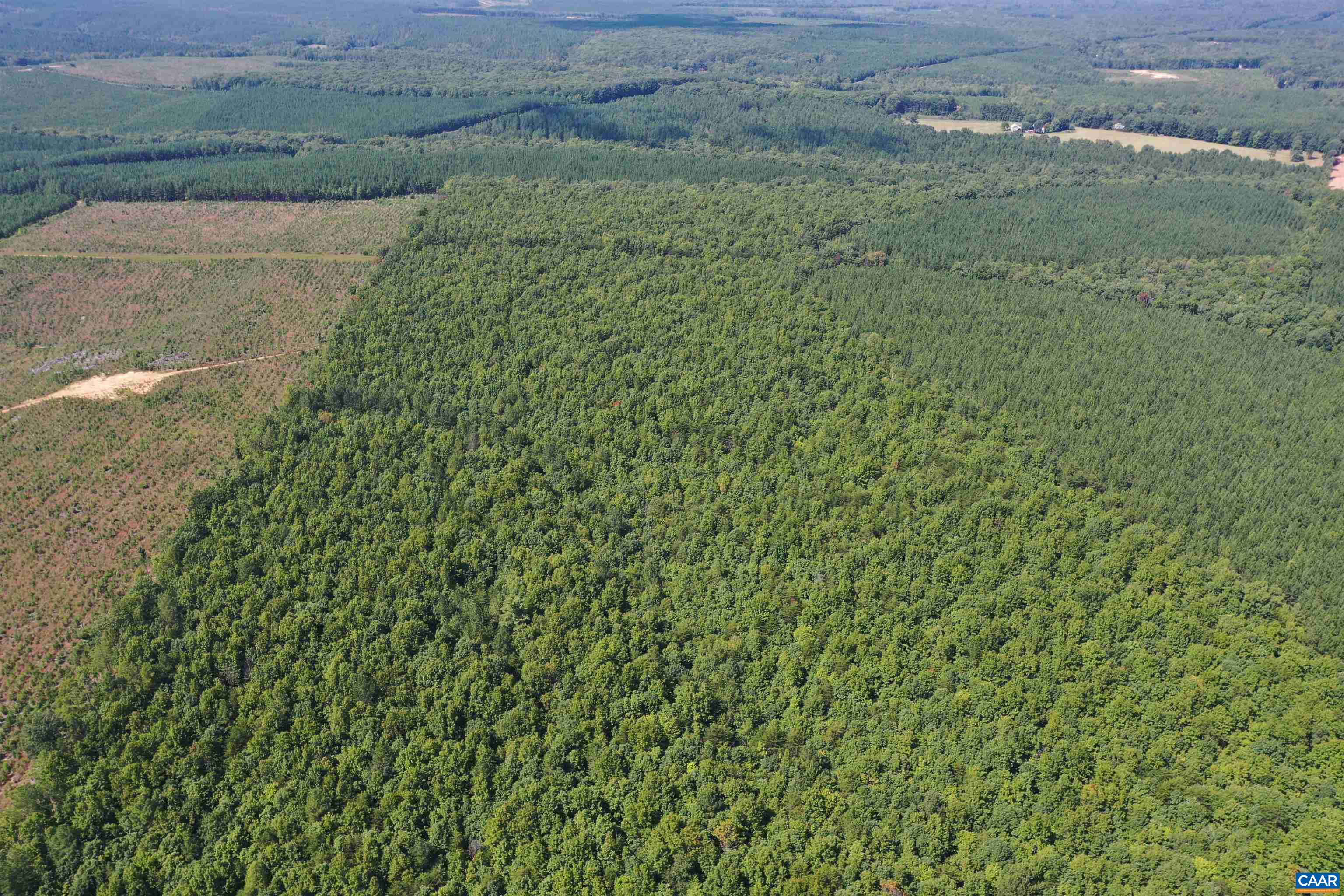 100 Ac W JAMES ANDERSON HWY, GLADSTONE, Virginia 24553, ,Farm,100 Ac W JAMES ANDERSON HWY,675255 MLS # 675255