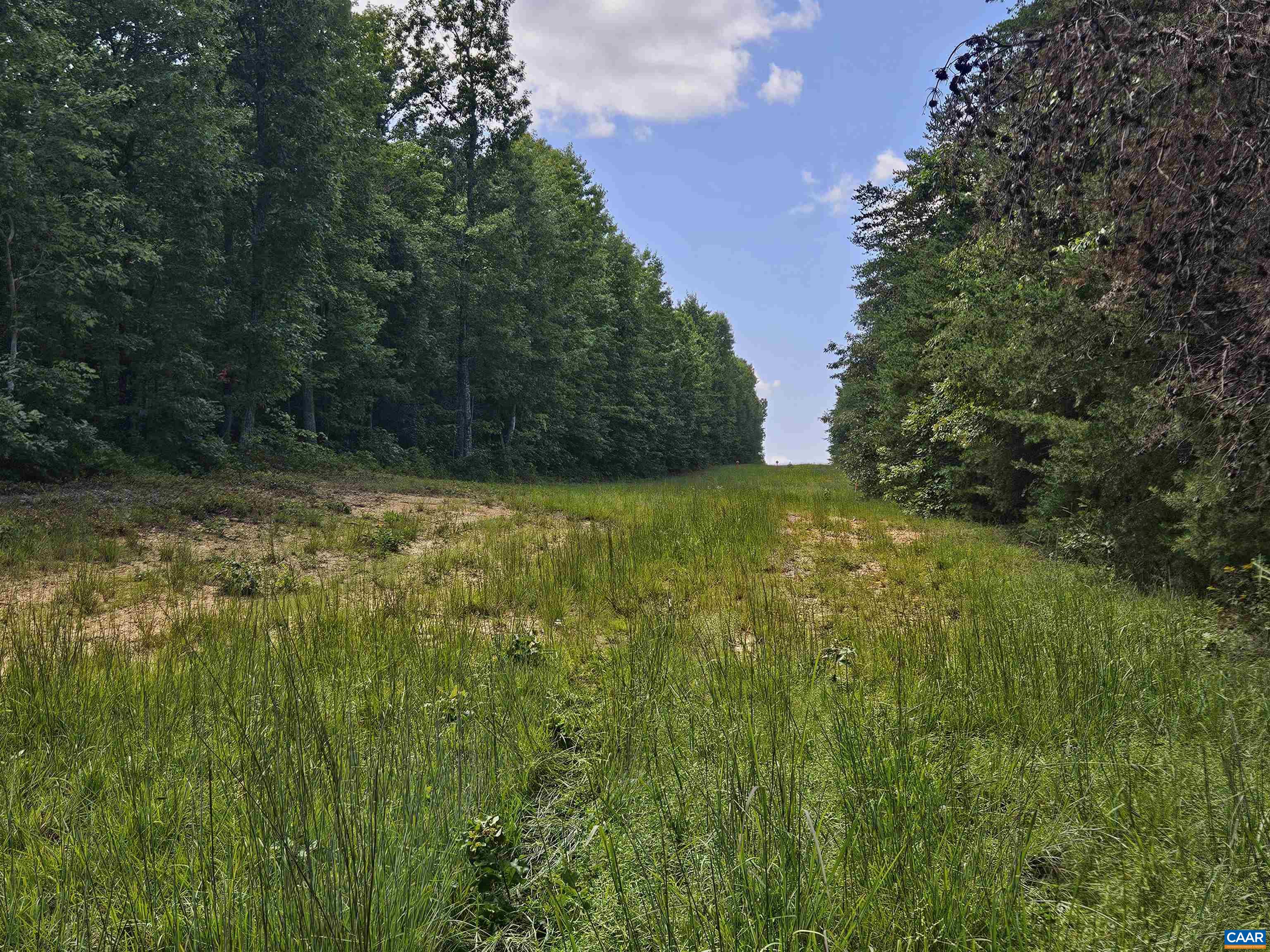 100 Ac W JAMES ANDERSON HWY, GLADSTONE, Virginia 24553, ,Farm,100 Ac W JAMES ANDERSON HWY,675255 MLS # 675255