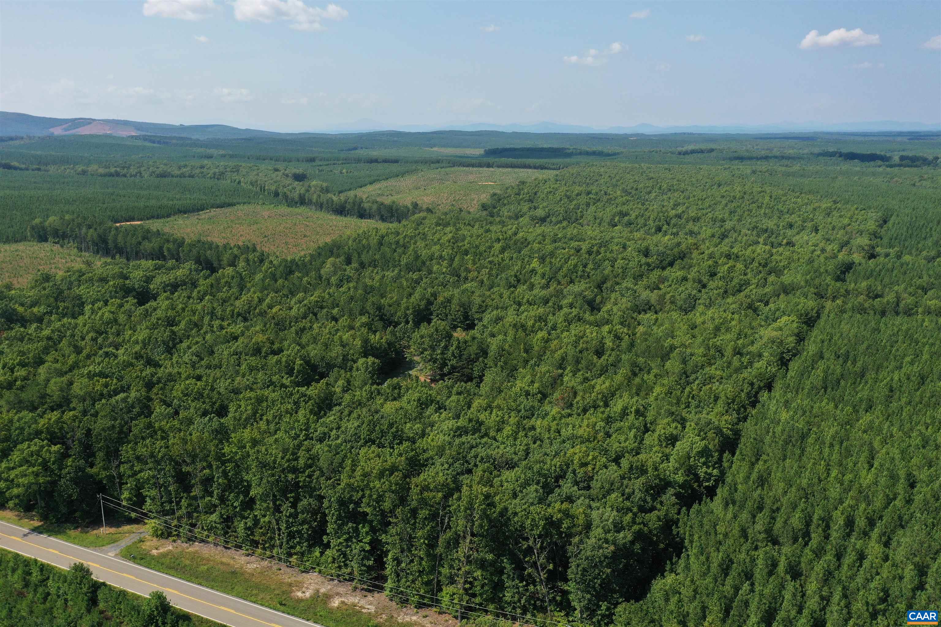 100 Ac W JAMES ANDERSON HWY, GLADSTONE, Virginia 24553, ,Farm,100 Ac W JAMES ANDERSON HWY,675255 MLS # 675255