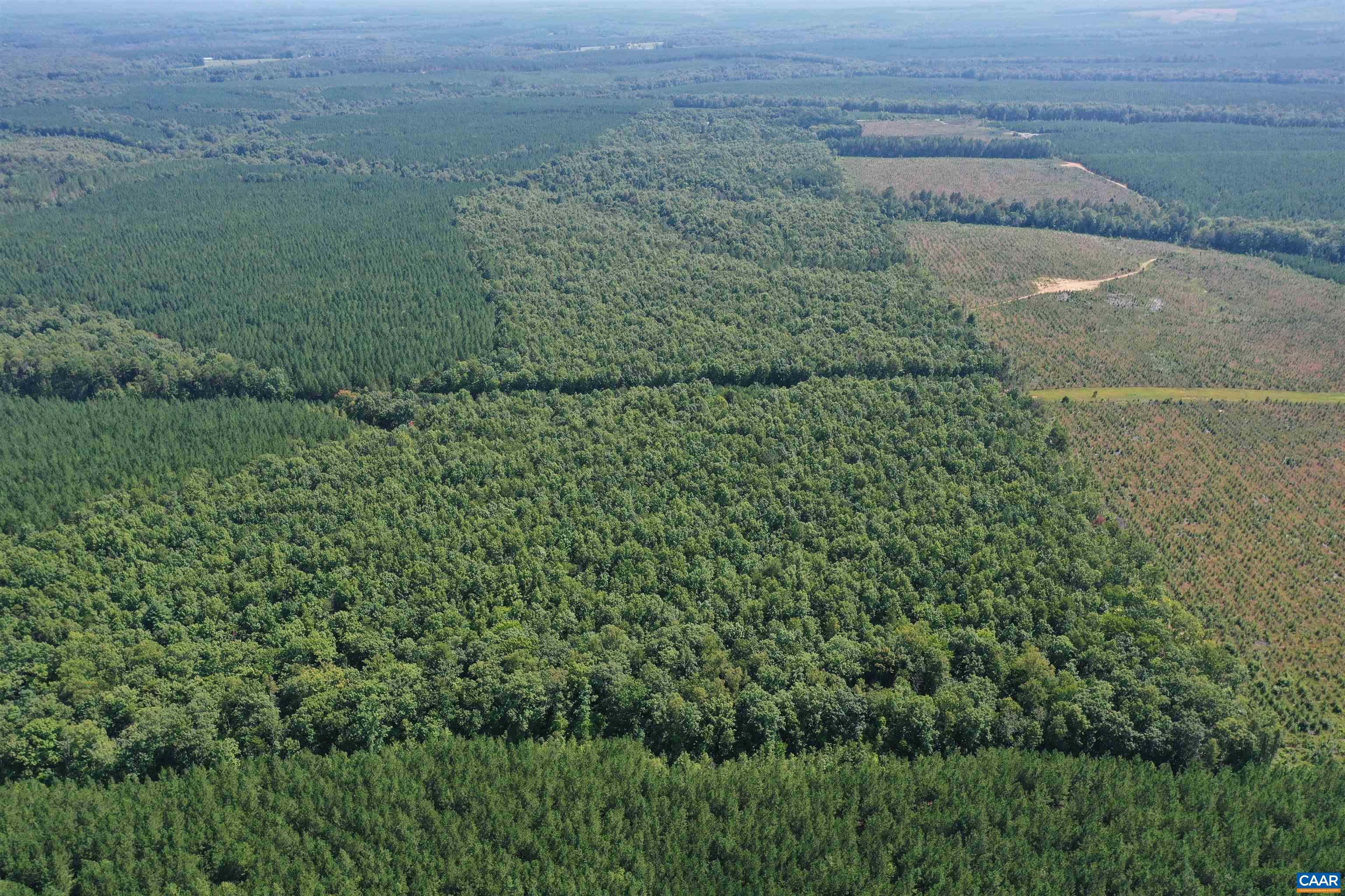 100 Ac W JAMES ANDERSON HWY, GLADSTONE, Virginia 24553, ,Farm,100 Ac W JAMES ANDERSON HWY,675255 MLS # 675255