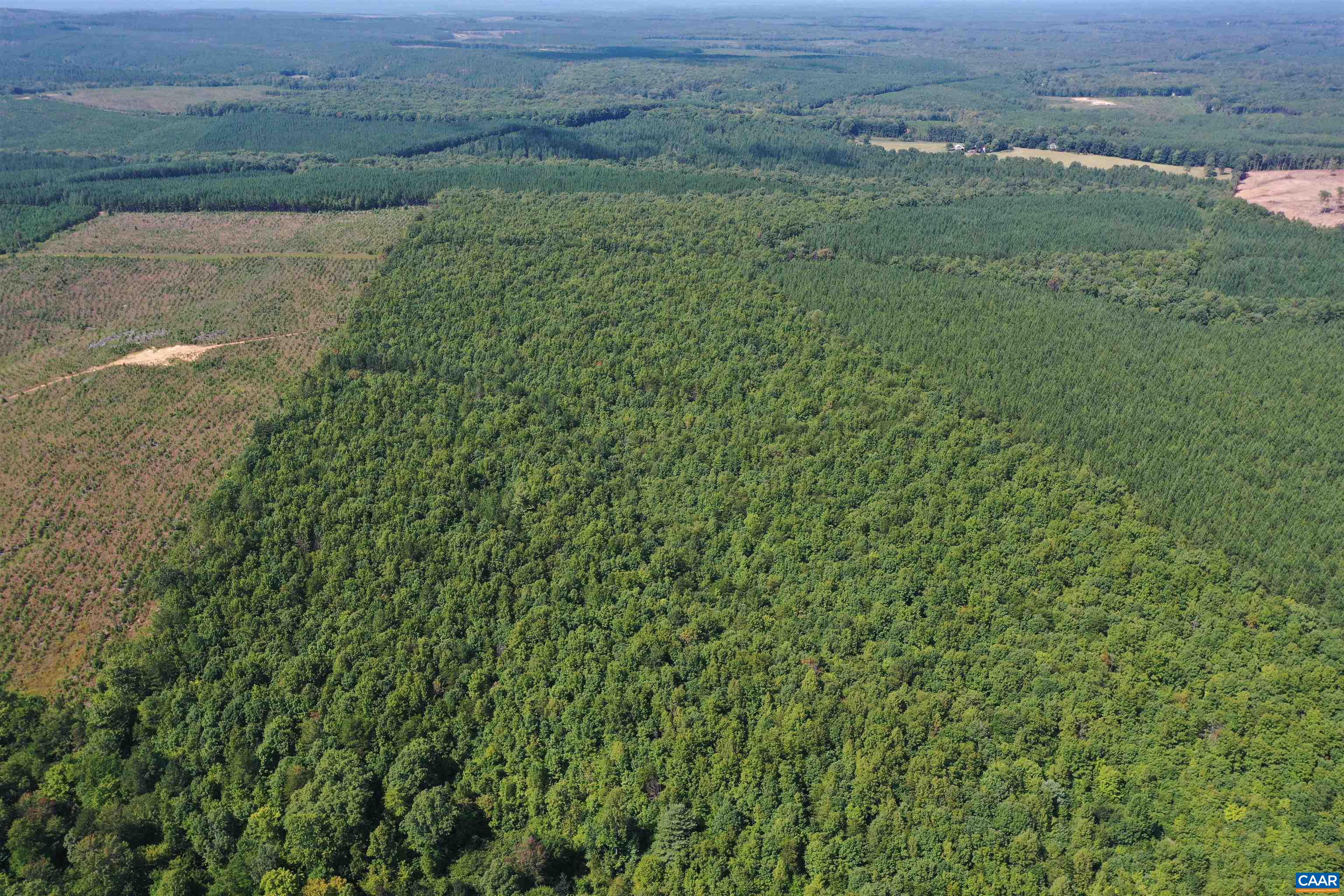 100 Ac W JAMES ANDERSON HWY, GLADSTONE, Virginia 24553, ,Farm,100 Ac W JAMES ANDERSON HWY,675255 MLS # 675255