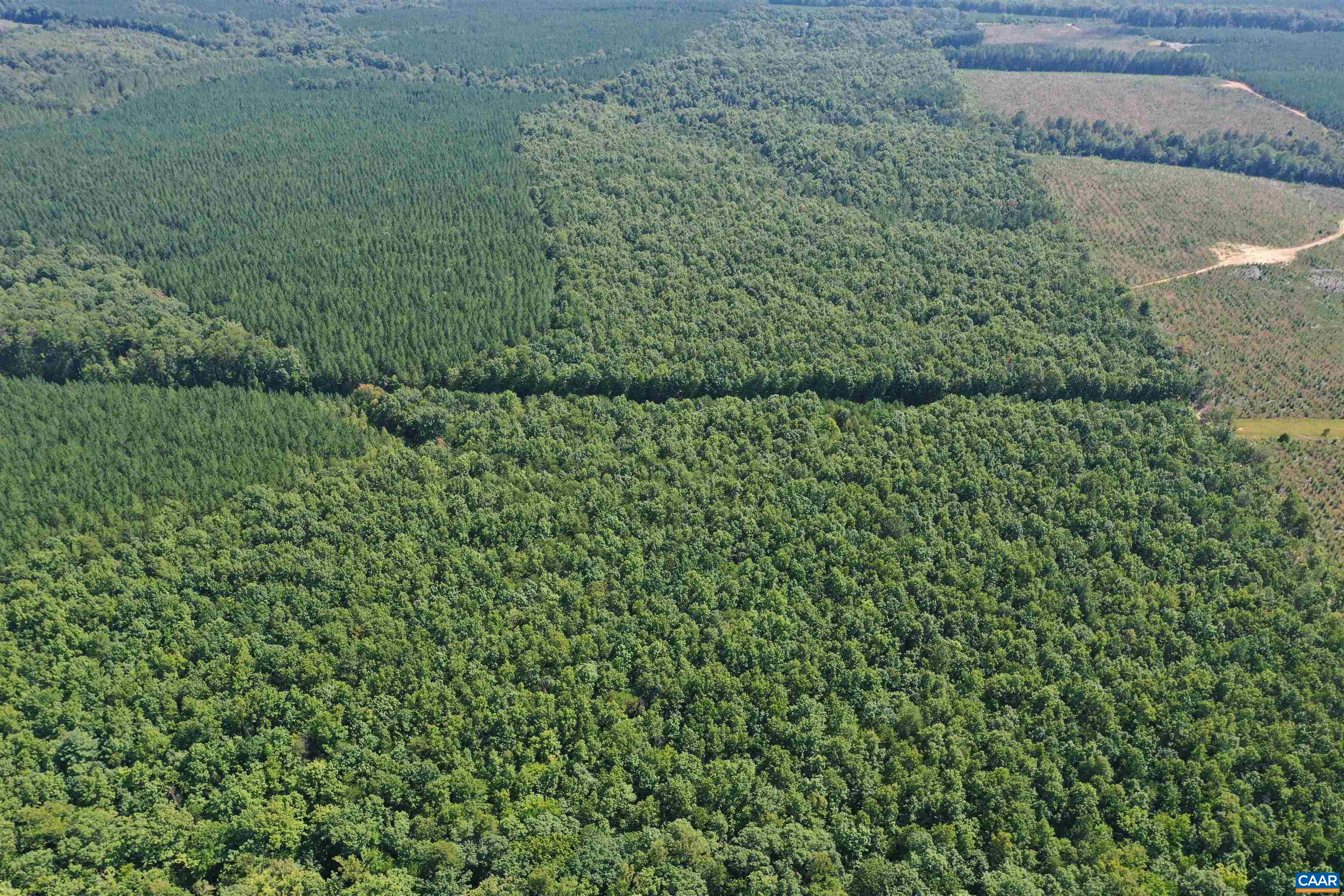 100 Ac W JAMES ANDERSON HWY, GLADSTONE, Virginia 24553, ,Farm,100 Ac W JAMES ANDERSON HWY,675255 MLS # 675255