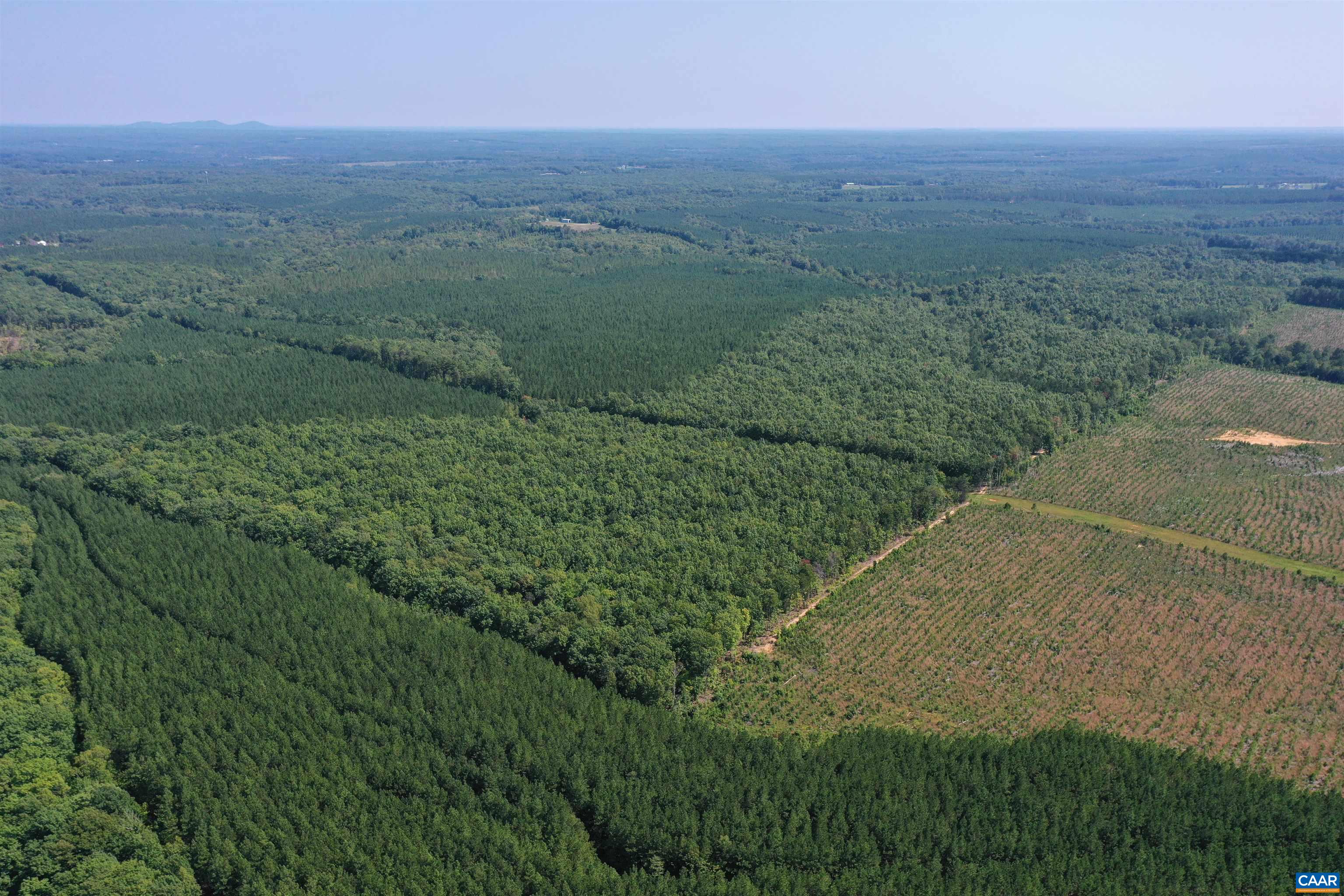 100 Ac W JAMES ANDERSON HWY, GLADSTONE, Virginia 24553, ,Farm,100 Ac W JAMES ANDERSON HWY,675255 MLS # 675255