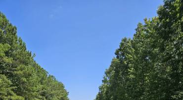 100 Ac W JAMES ANDERSON HWY, GLADSTONE, Virginia 24553, ,Farm,100 Ac W JAMES ANDERSON HWY,675255 MLS # 675255