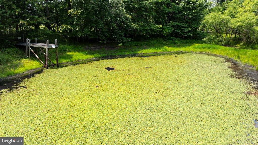 274 AARON MOUNTAIN RD, CASTLETON, Virginia 22716, 3 Bedrooms Bedrooms, ,3 BathroomsBathrooms,Residential,274 AARON MOUNTAIN RD,VARP2002560 MLS # VARP2002560