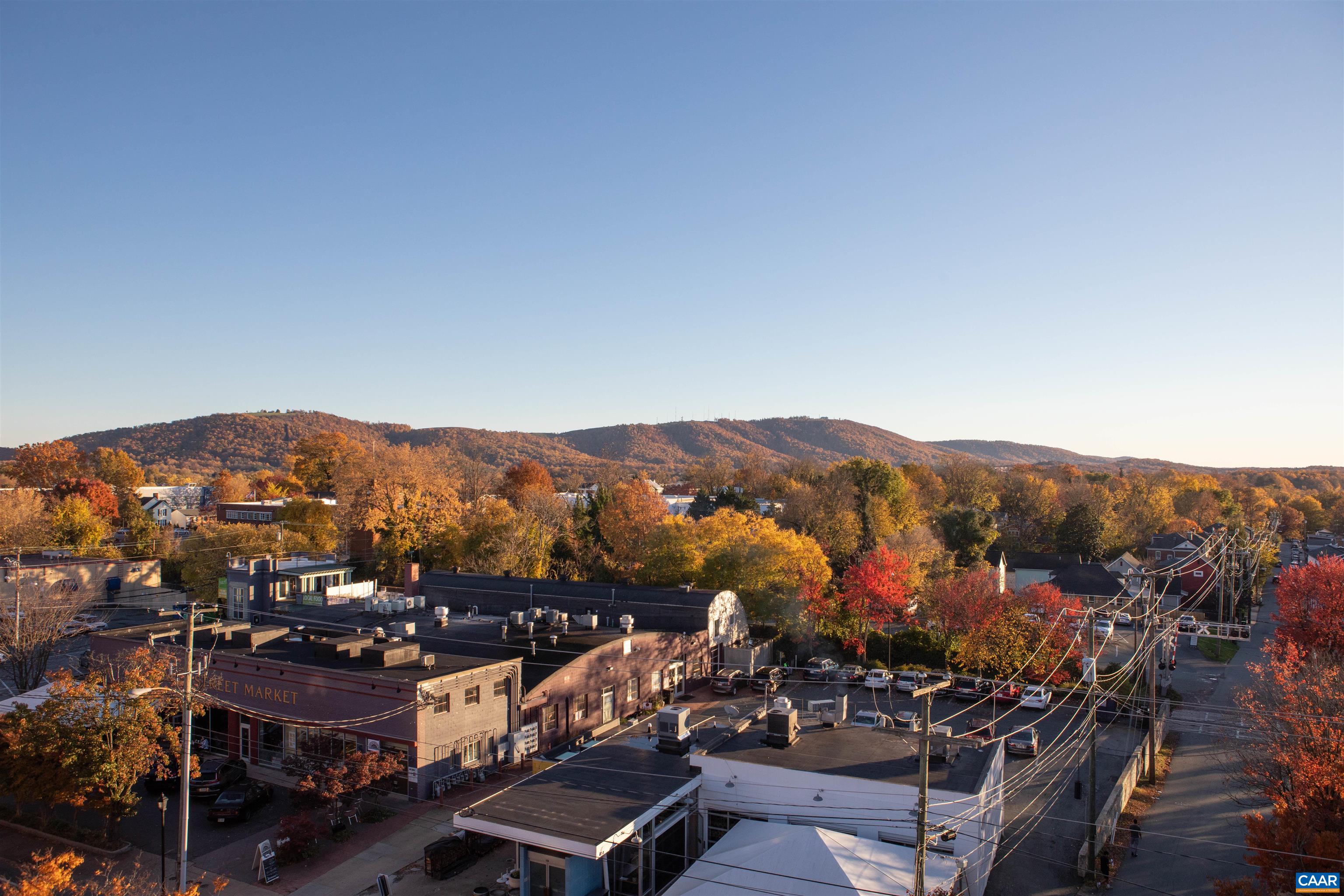 735 WALKER SQ, CHARLOTTESVILLE, Virginia 22903, 1 Bedroom Bedrooms, ,1 BathroomBathrooms,Residential,735 WALKER SQ,675206 MLS # 675206