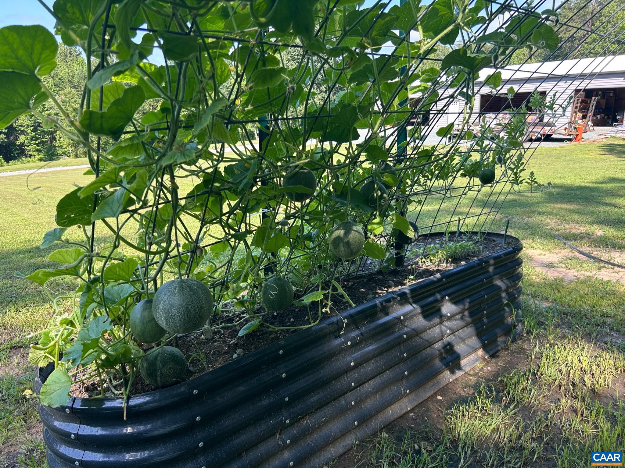 7246 THREE NOTCH RD, LOUISA, Virginia 23093, 3 Bedrooms Bedrooms, ,2 BathroomsBathrooms,Residential,7246 THREE NOTCH RD,675249 MLS # 675249