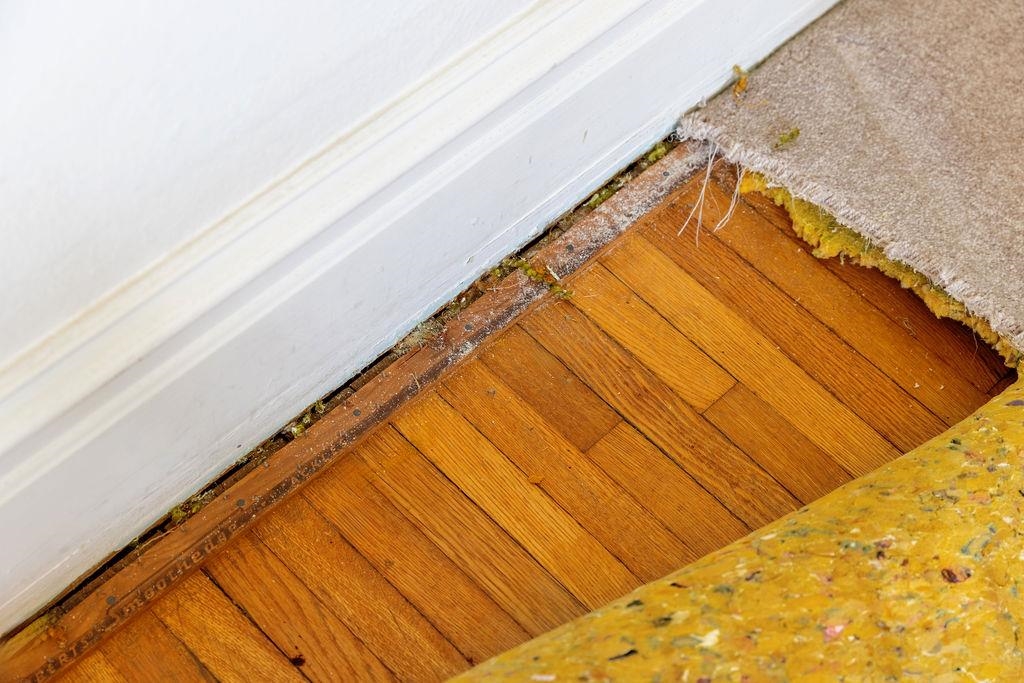 826 SELMA BLVD, STAUNTON, Virginia 24401, 3 Bedrooms Bedrooms, ,1 BathroomBathrooms,Residential,826 SELMA BLVD,675251 MLS # 675251