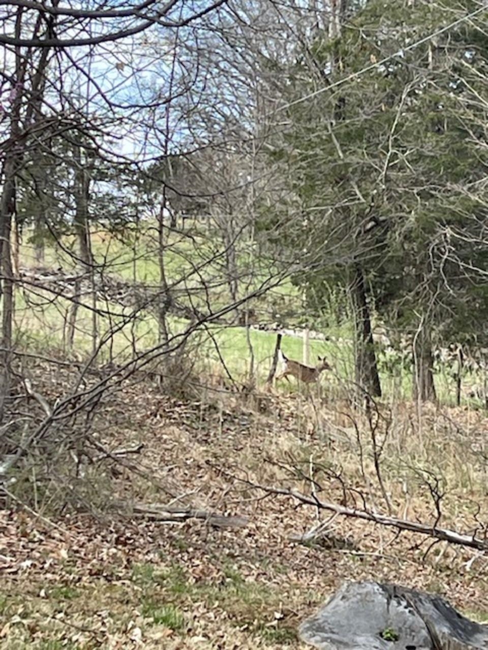 160 CUPPS HILL RD, FAIRFIELD, Virginia 24435, 3 Bedrooms Bedrooms, ,1 BathroomBathrooms,Residential,160 CUPPS HILL RD,675253 MLS # 675253