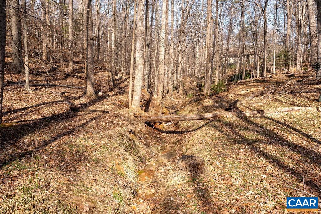 409 WESTMORELAND CT, CHARLOTTESVILLE, Virginia 22901, 4 Bedrooms Bedrooms, ,3 BathroomsBathrooms,Residential,409 WESTMORELAND CT,675259 MLS # 675259