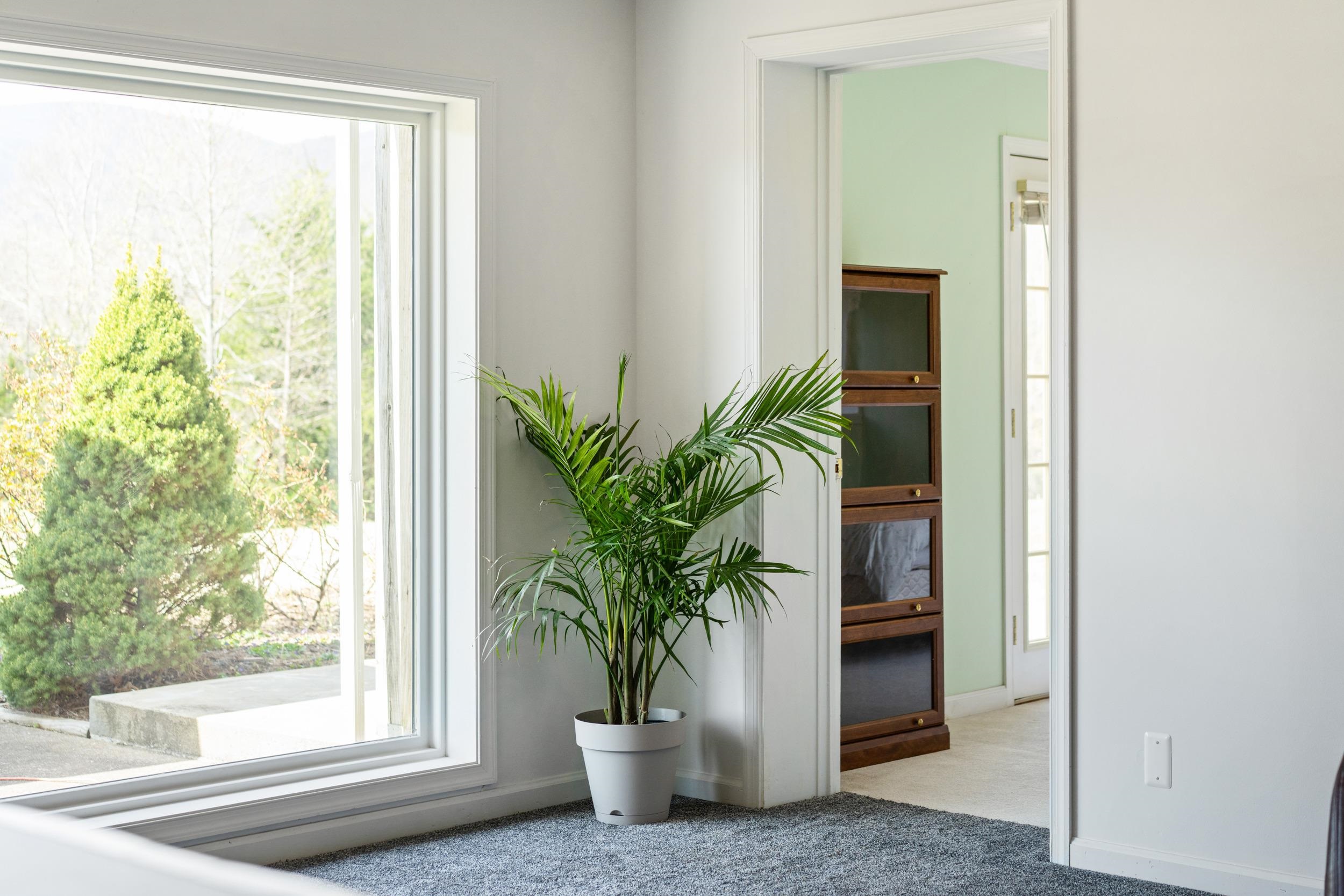 188 FRANCE CROSSING, AFTON, Virginia 22920, 5 Bedrooms Bedrooms, ,3 BathroomsBathrooms,Residential,188 FRANCE CROSSING,675267 MLS # 675267