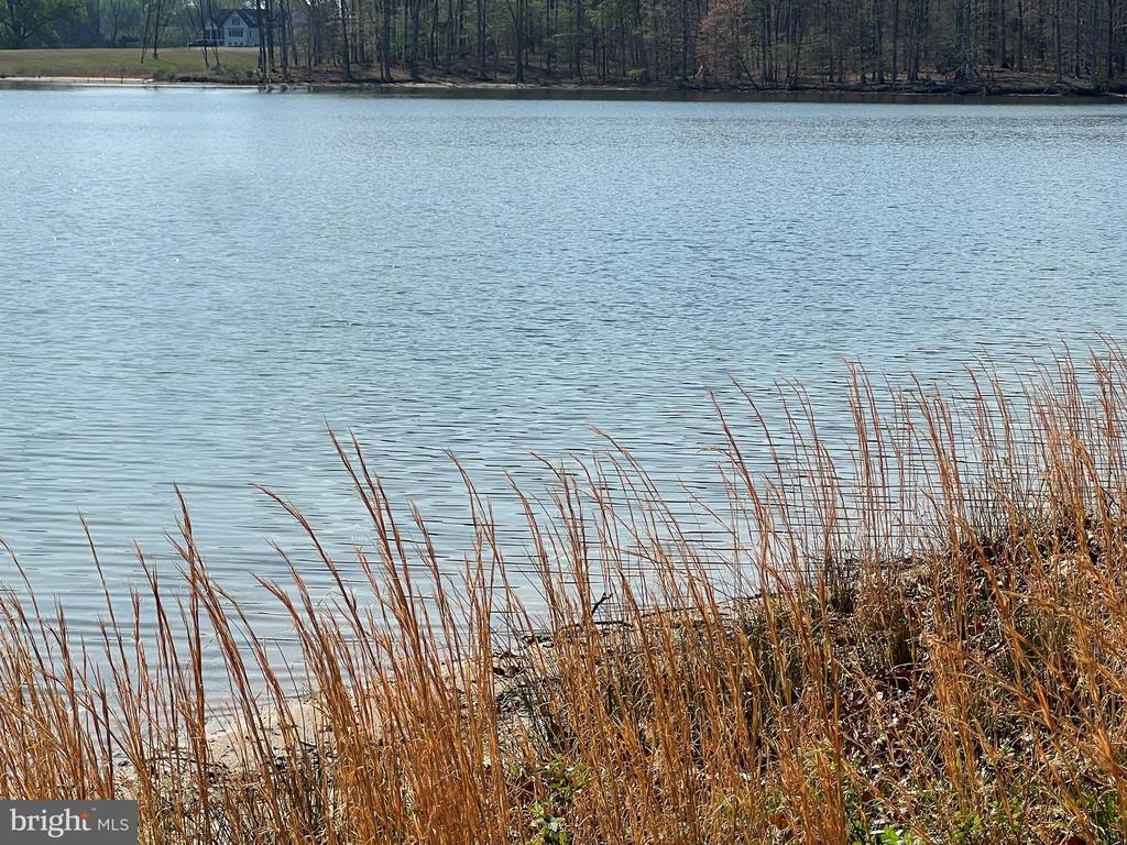 FAIRVIEW DR, MINERAL, Virginia 23117, ,Land,FAIRVIEW DR,VALA2009578 MLS # VALA2009578 FAIRVIEW DR, MINERAL, Virginia 23117, ,Land,FAIRVIEW DR,VALA2009578 MLS # VALA2009578