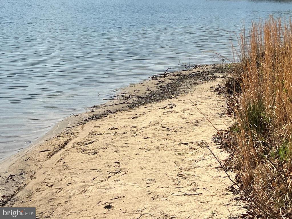 FAIRVIEW DR, MINERAL, Virginia 23117, ,Land,FAIRVIEW DR,VALA2009578 MLS # VALA2009578 FAIRVIEW DR, MINERAL, Virginia 23117, ,Land,FAIRVIEW DR,VALA2009578 MLS # VALA2009578