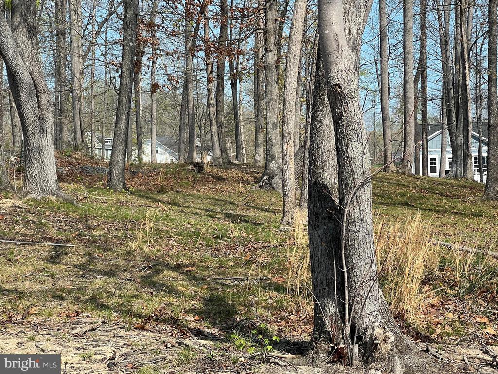 FAIRVIEW DR, MINERAL, Virginia 23117, ,Land,FAIRVIEW DR,VALA2009578 MLS # VALA2009578 FAIRVIEW DR, MINERAL, Virginia 23117, ,Land,FAIRVIEW DR,VALA2009578 MLS # VALA2009578