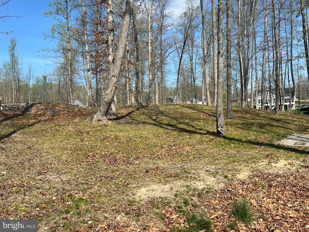 FAIRVIEW DR, MINERAL, Virginia 23117, ,Land,FAIRVIEW DR,VALA2009578 MLS # VALA2009578 FAIRVIEW DR, MINERAL, Virginia 23117, ,Land,FAIRVIEW DR,VALA2009578 MLS # VALA2009578