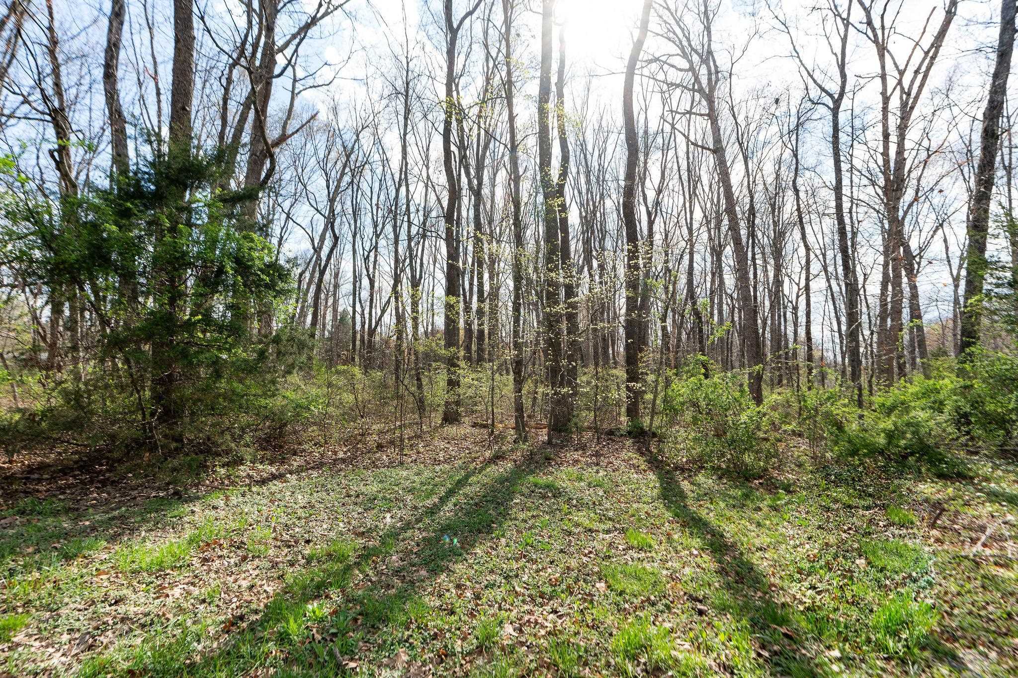 Lot 8 LAKE DR, CRIMORA, Virginia 24431, ,Land,Lot 8 LAKE DR,675283 MLS # 675283