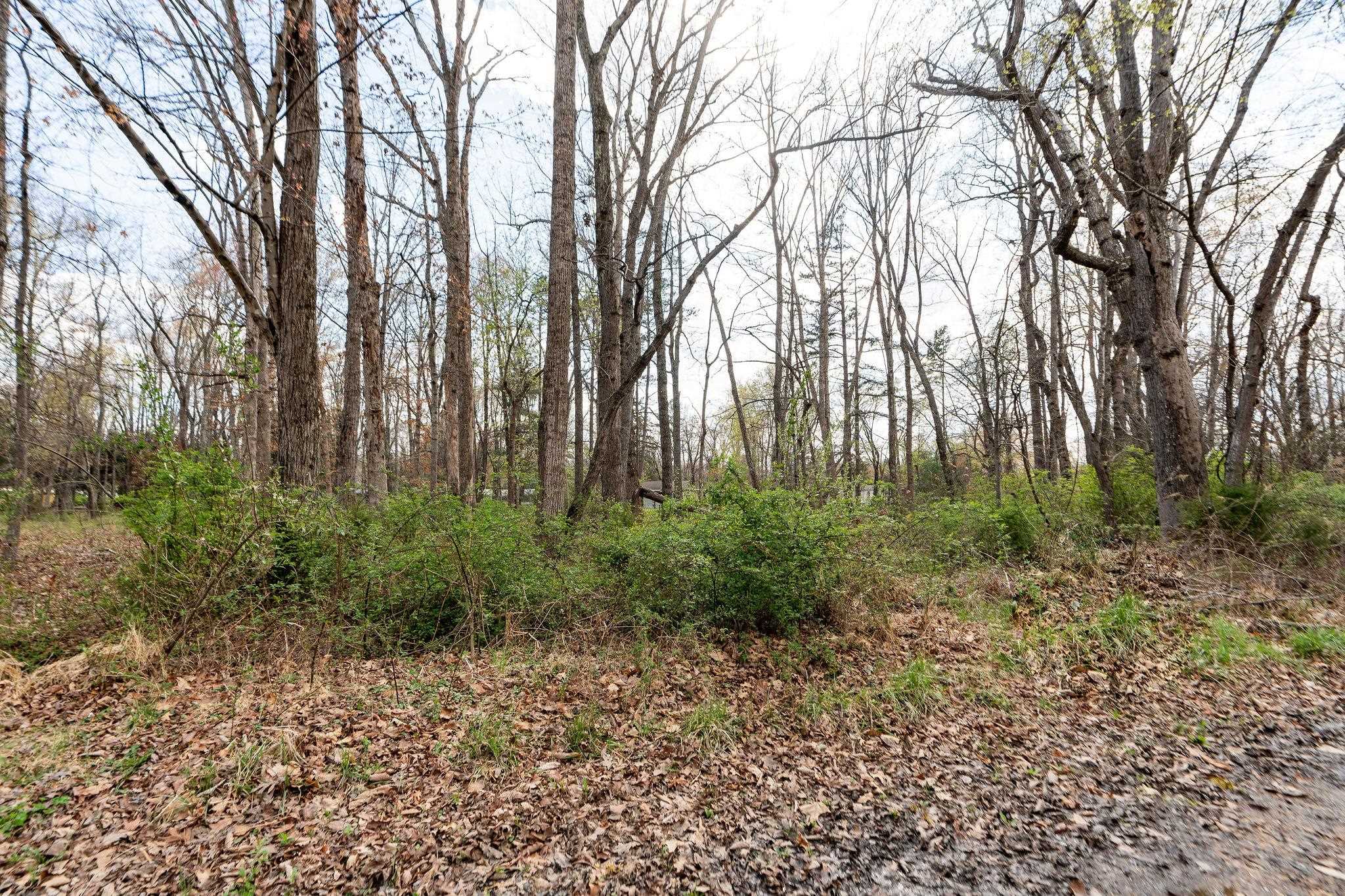 Lot 19 CRIMORA MINE RD, CRIMORA, Virginia 24431, ,Land,Lot 19 CRIMORA MINE RD,675285 MLS # 675285