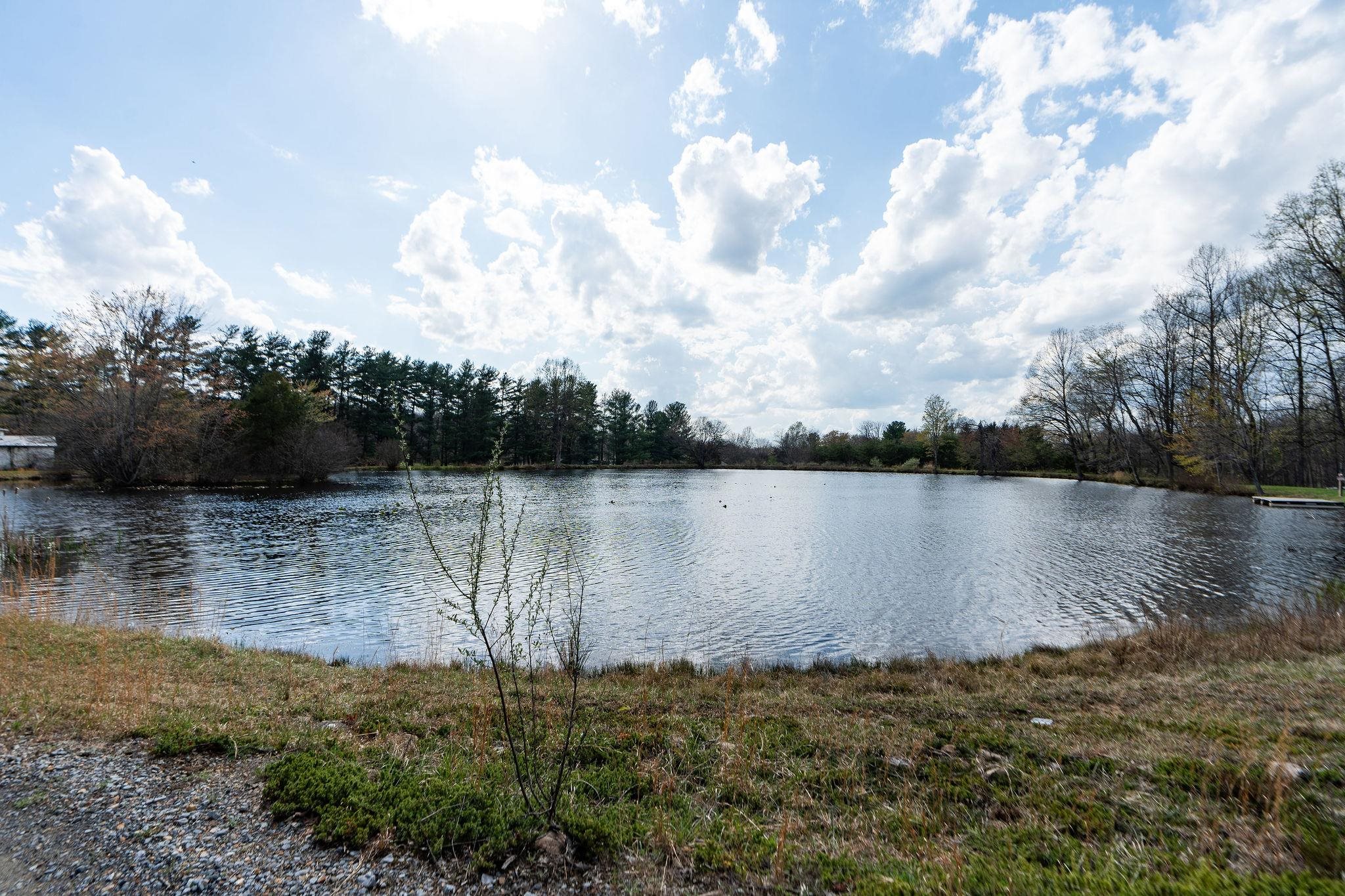 Lot 19 CRIMORA MINE RD, CRIMORA, Virginia 24431, ,Land,Lot 19 CRIMORA MINE RD,675285 MLS # 675285