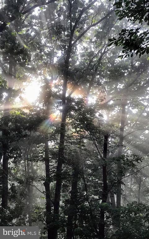 4562 QUAIL RUN DR, MARSHALL, Virginia, 3 Bedrooms Bedrooms, ,2 BathroomsBathrooms,Residential,4562 QUAIL RUN DR,VAFQ2020758 MLS # VAFQ2020758 4562 QUAIL RUN DR, MARSHALL, Virginia, 3 Bedrooms Bedrooms, ,2 BathroomsBathrooms,Residential,4562 QUAIL RUN DR,VAFQ2020758 MLS # VAFQ2020758